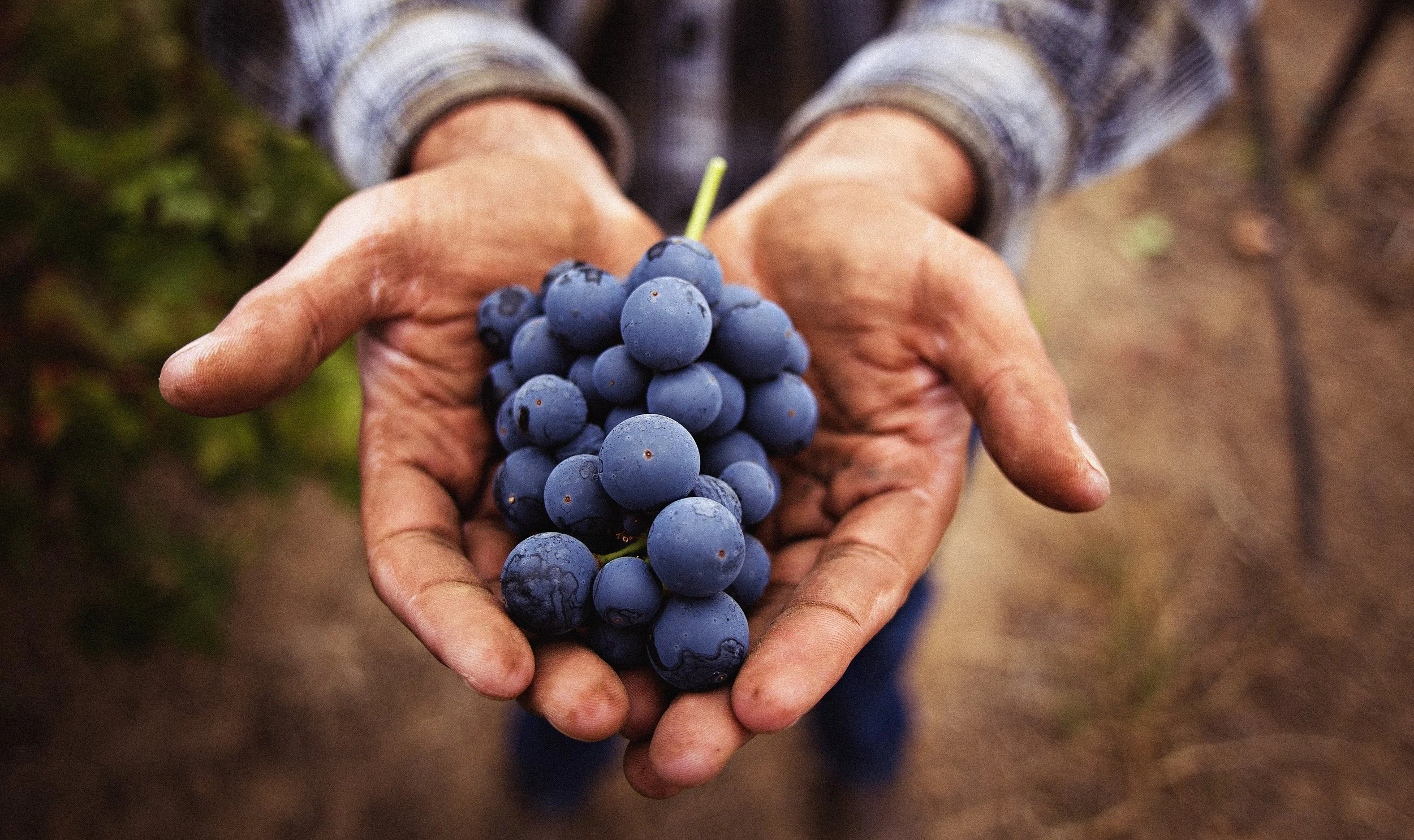 Prinint Store Exports_0001.jpg