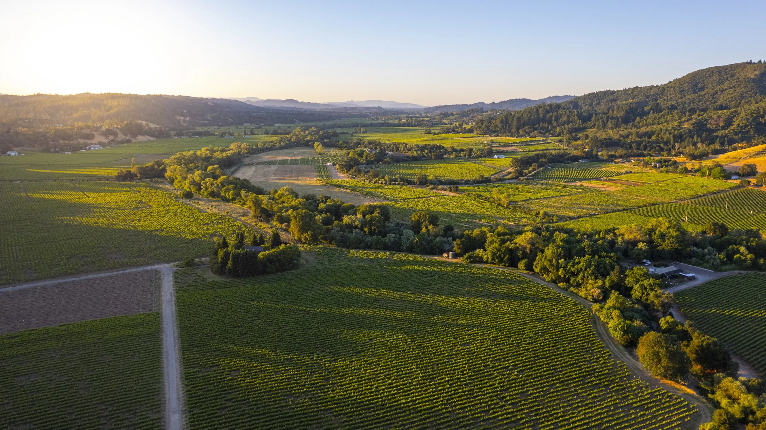 DQP_Legacy Collection_2025_0089.jpg