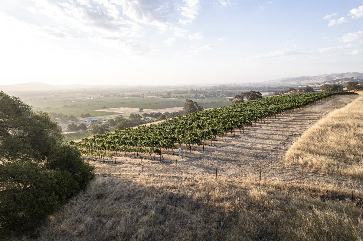 DQP_Legacy Collection_2025_0072.jpg