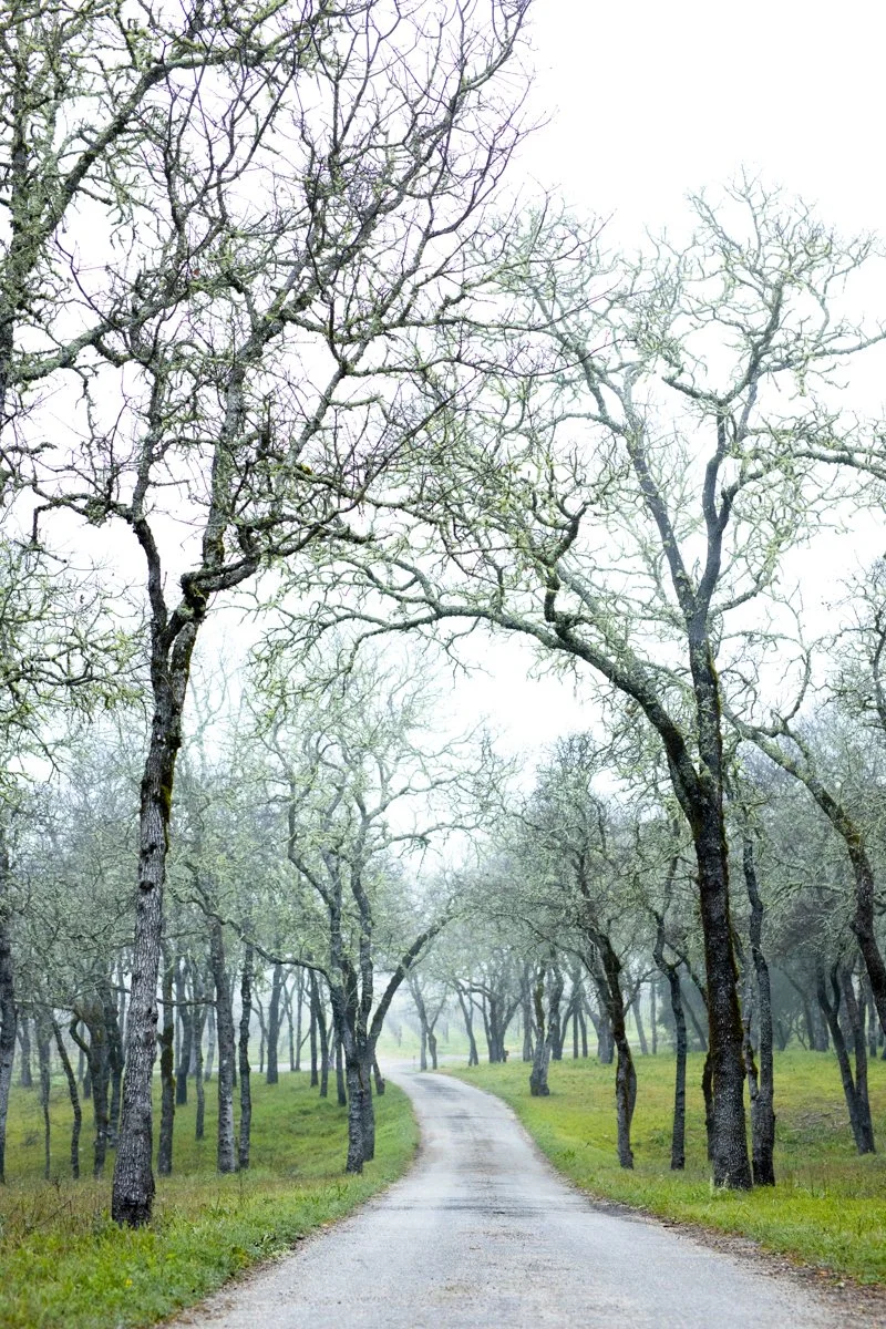 DQP_Legacy Collection_2025_0063.jpg