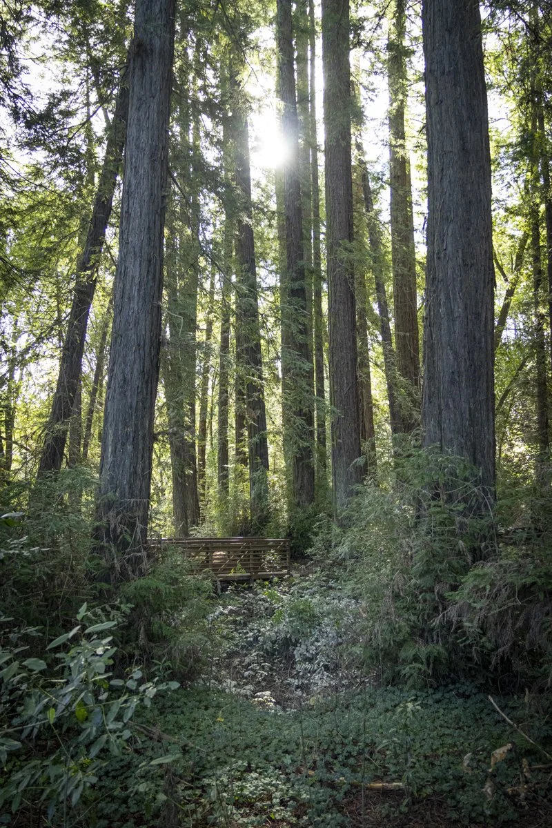 PINE_Grandma and Jon 2026 Galvans_001-28.jpg