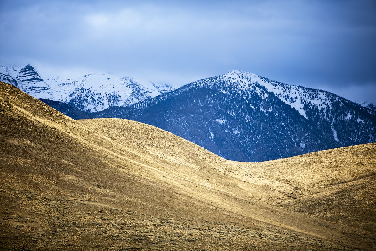 DQP_Legacy Collection_2025_0056.jpg