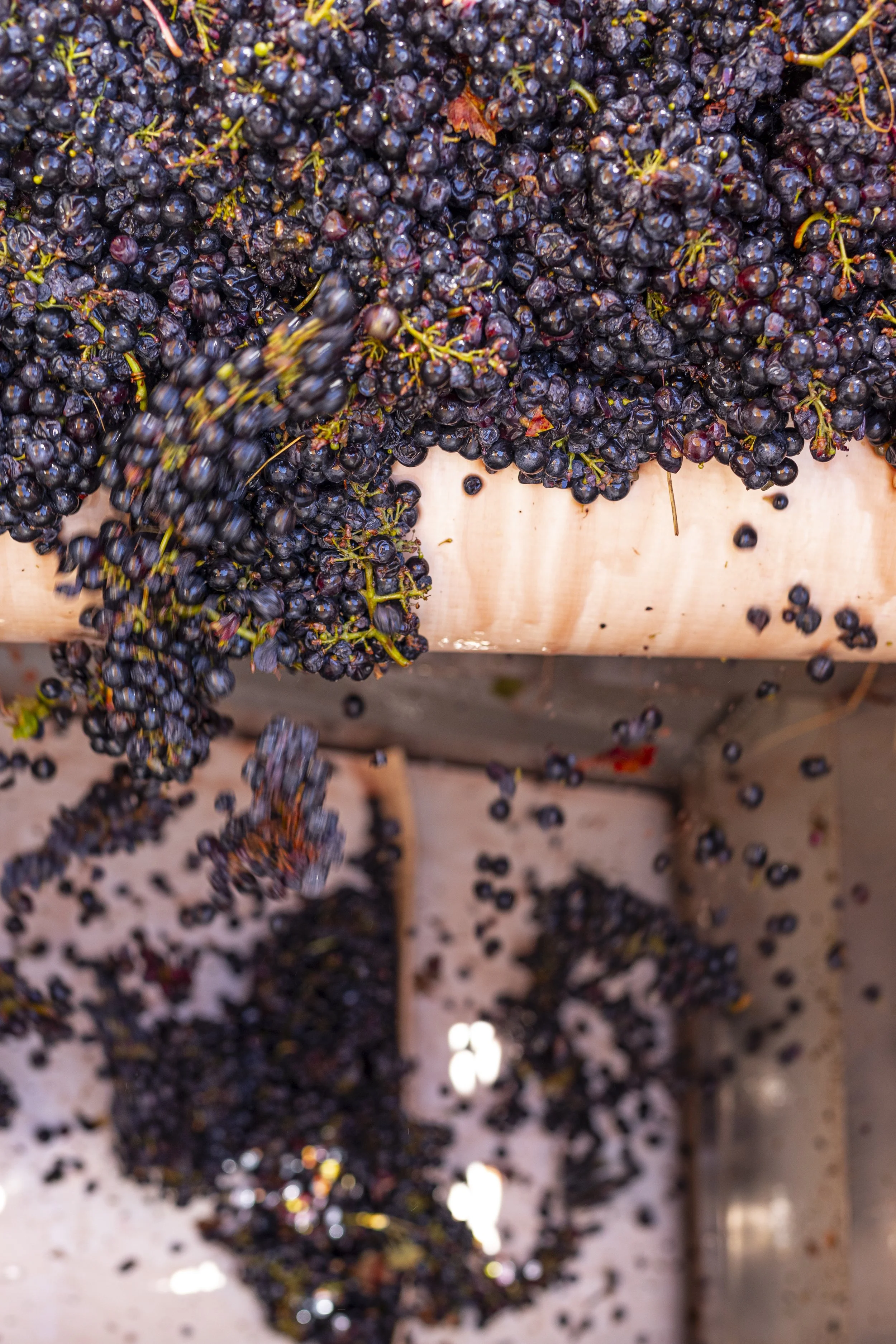 DQP_Legacy Collection_2025_0084.jpg