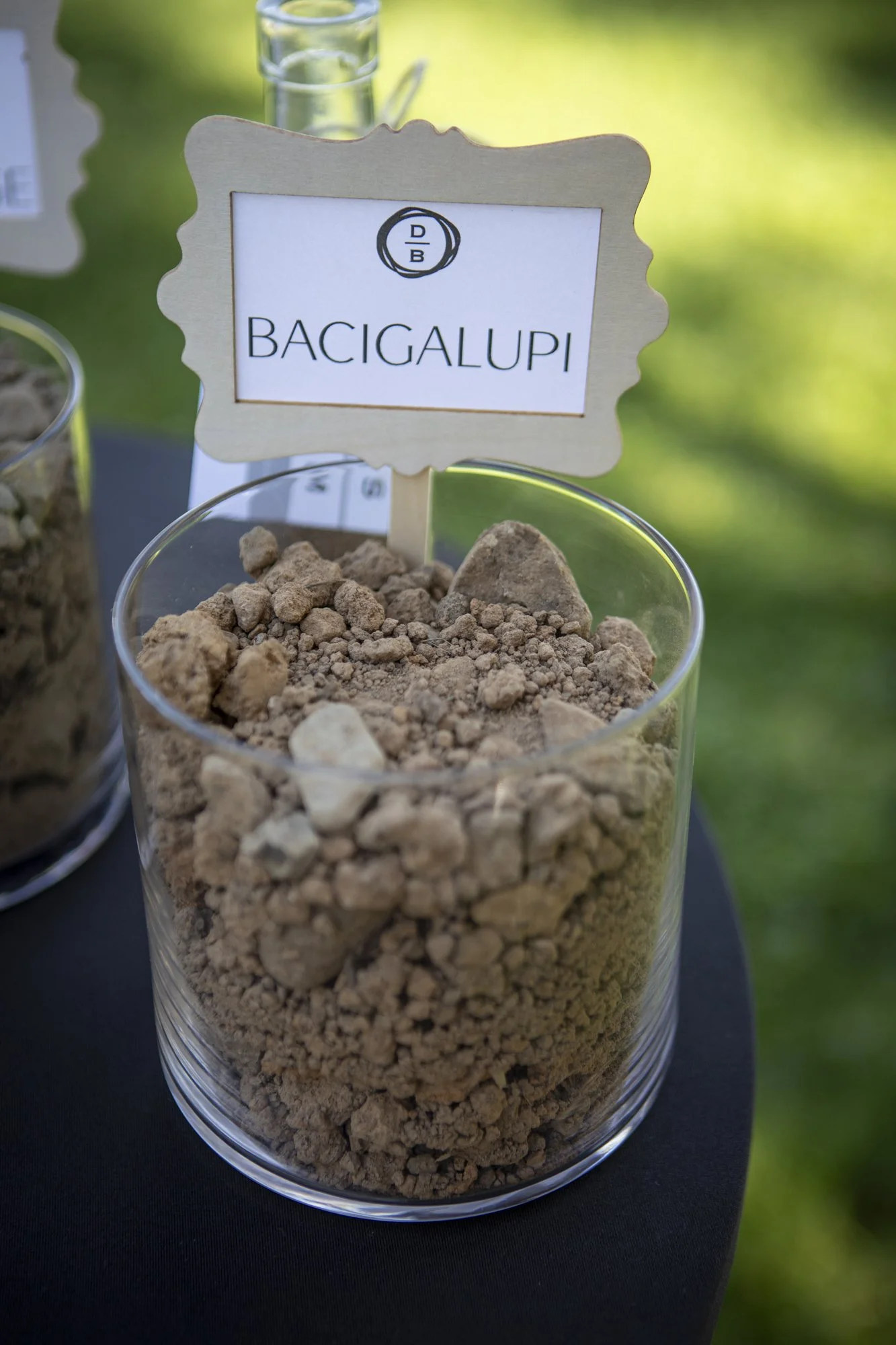 PINE_Adruni_Bungalow Remodels_Fall 202534645.jpg