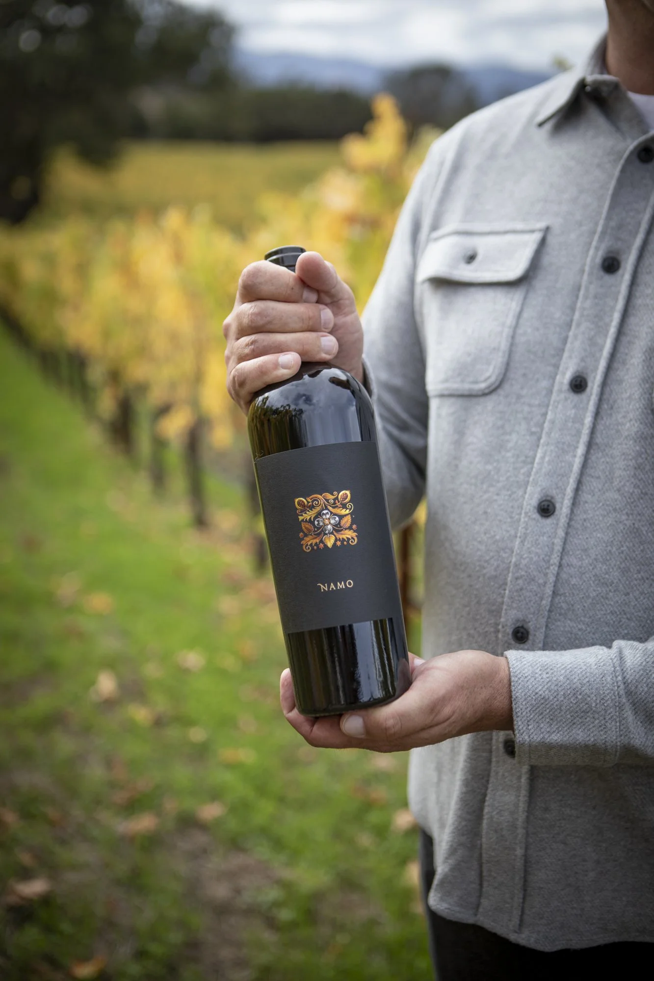 PINE_NAMO_Fall 2025_37859-Edit.jpg