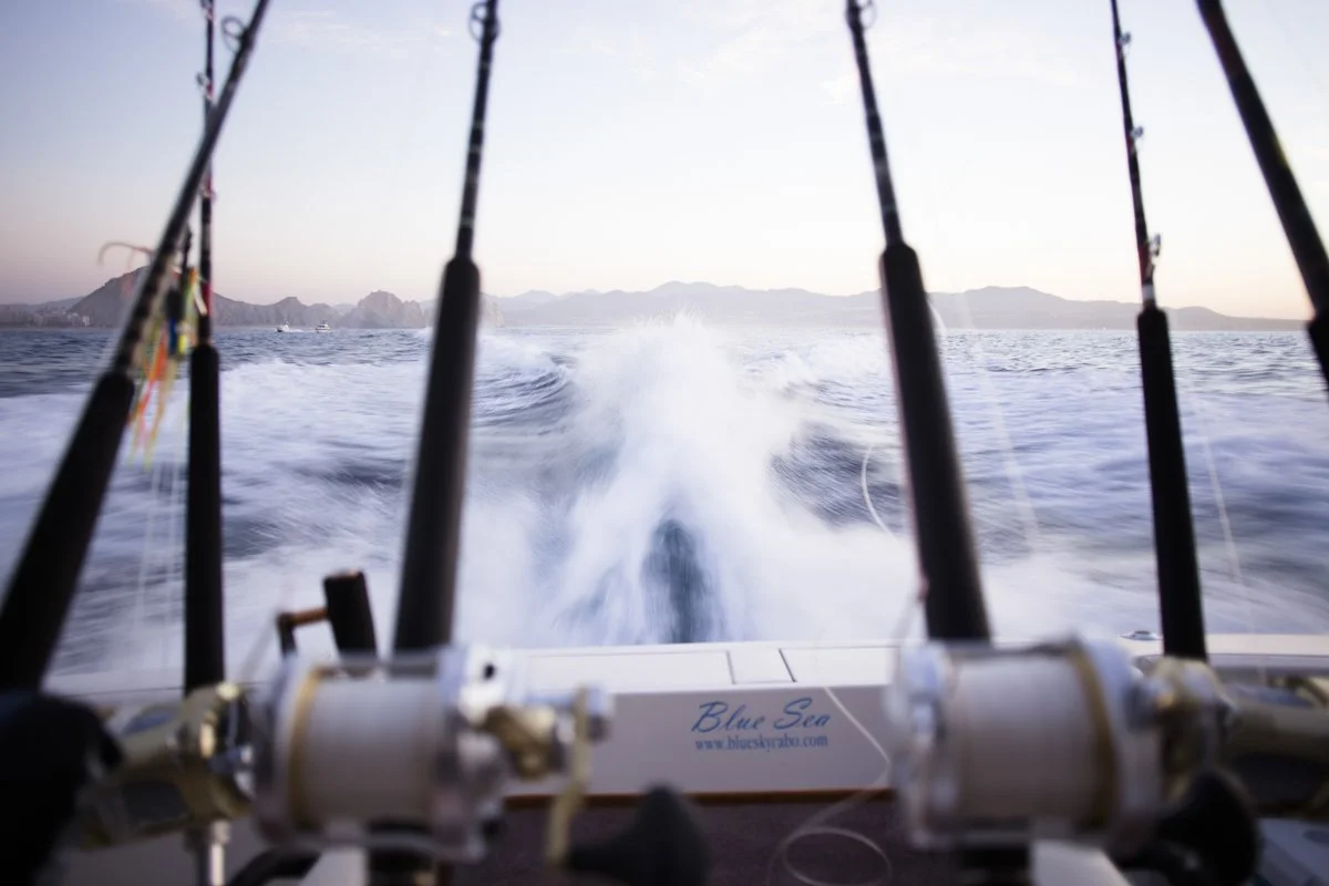 DQP_Legacy Collection_2025_0028.jpg