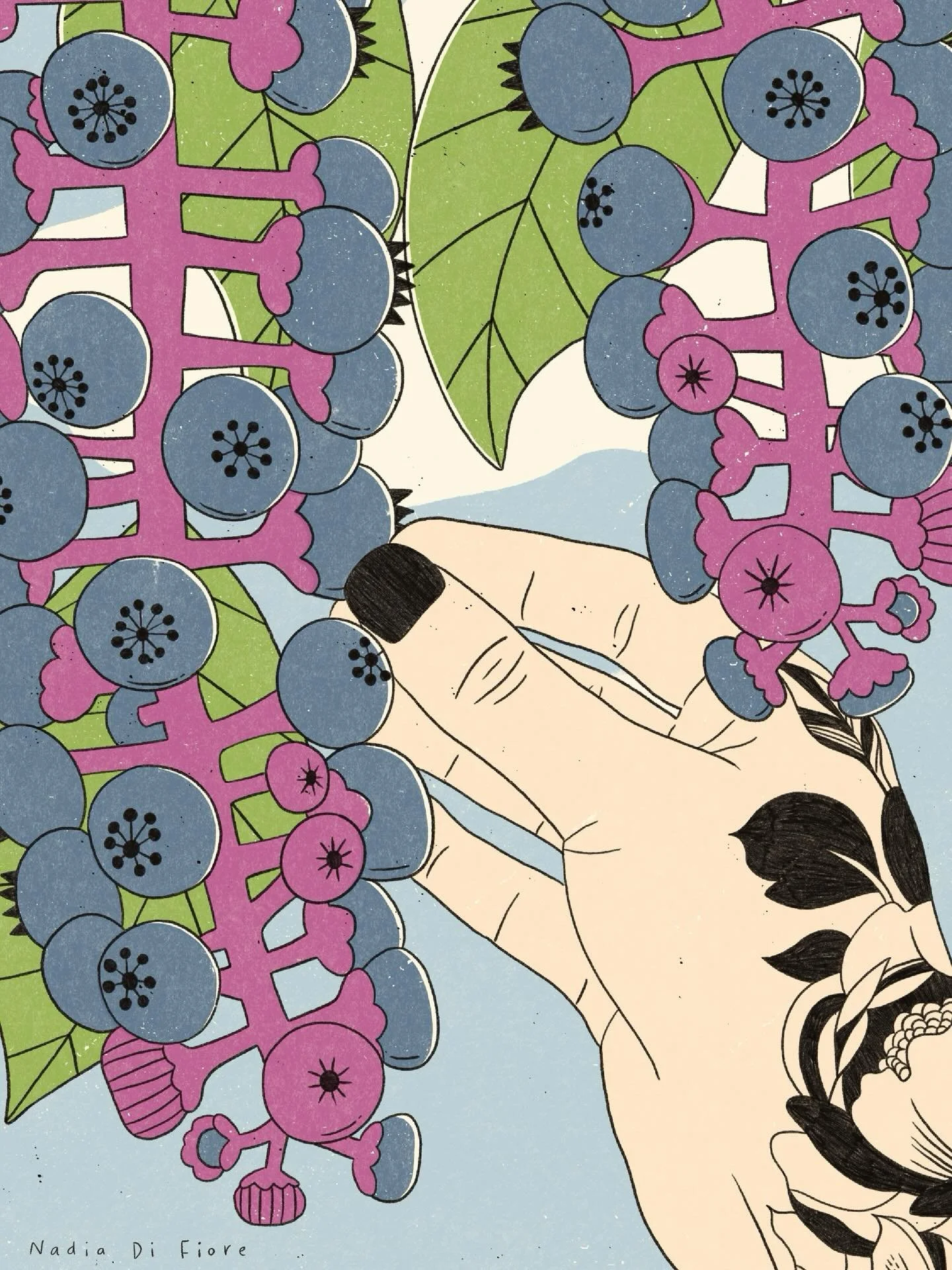 Les couleurs du raisin d&rsquo;Am&eacute;rique sont presque irr&eacute;elles (et toxiques). Magnifiques &agrave; dessiner, mais mieux vaut les tenir loin de votre assiette.
&bull;
The colours of Pokeweed are almost unreal (and toxic). Beautiful to 