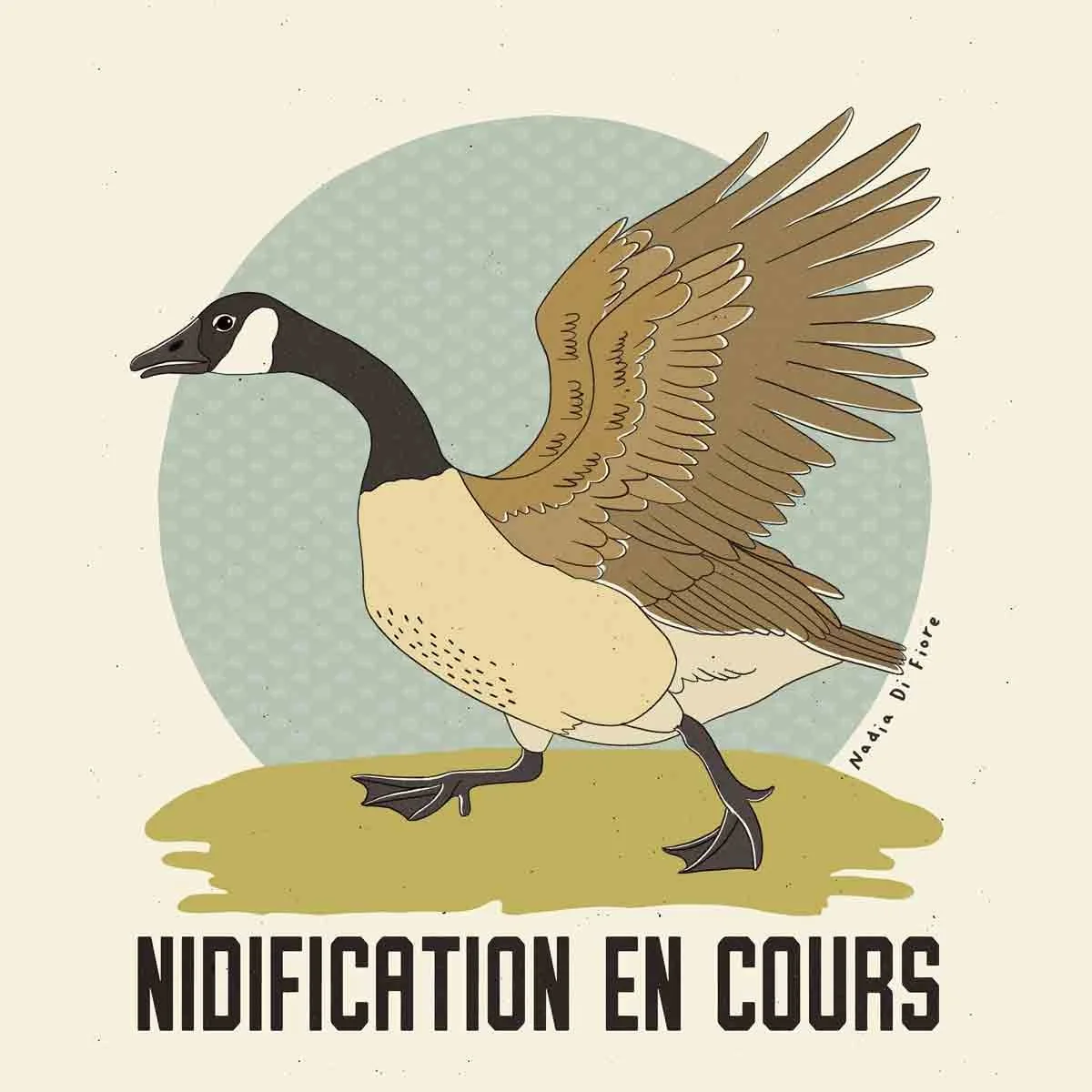 Contemporary folk illustration of an angry Canadian goose. A wildlife illustration by Nadia Di Fiore.
