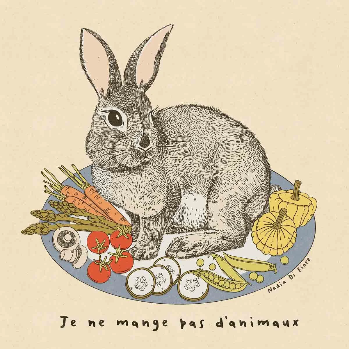 Contemporary folk illustration of a rabbit in a plate of vegetables with the mention "Je ne mange pas d'animaux" (I don't eat animals) hand-lettered.  A food illustration by Nadia Di Fiore.