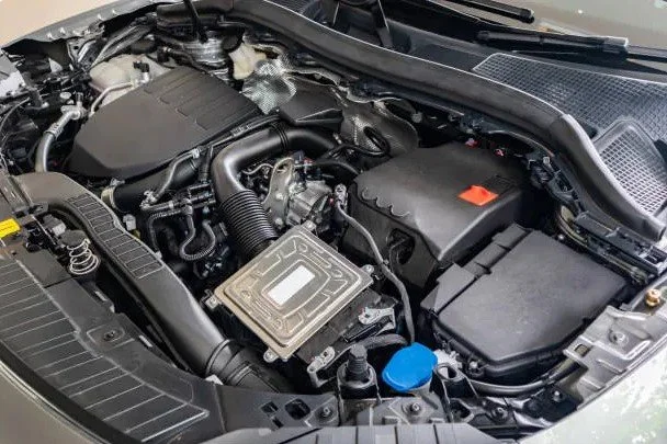 Support Your Mitochondria Naturally