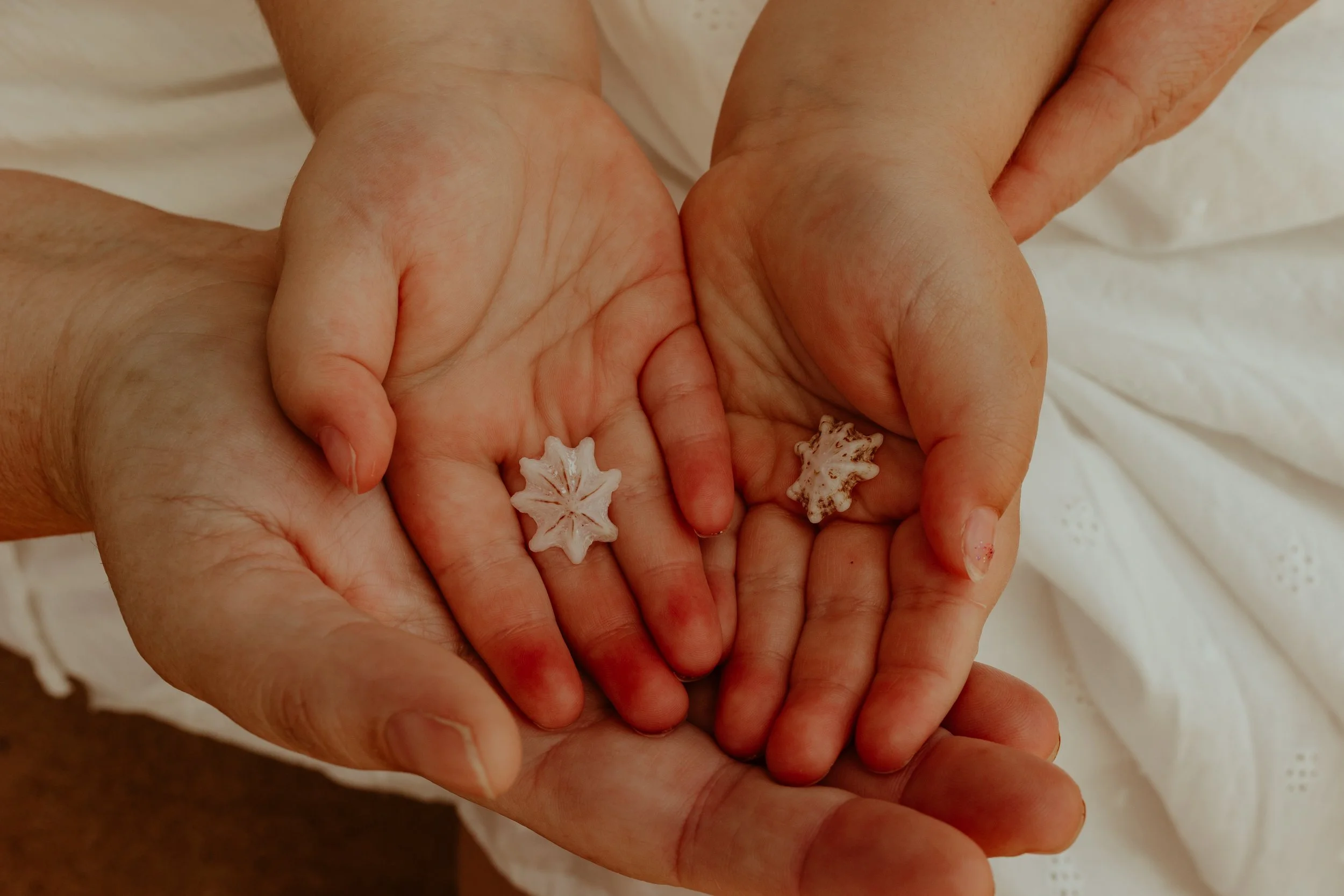 Sydney family beach photography session taken at Curl Curl Beach Sydney