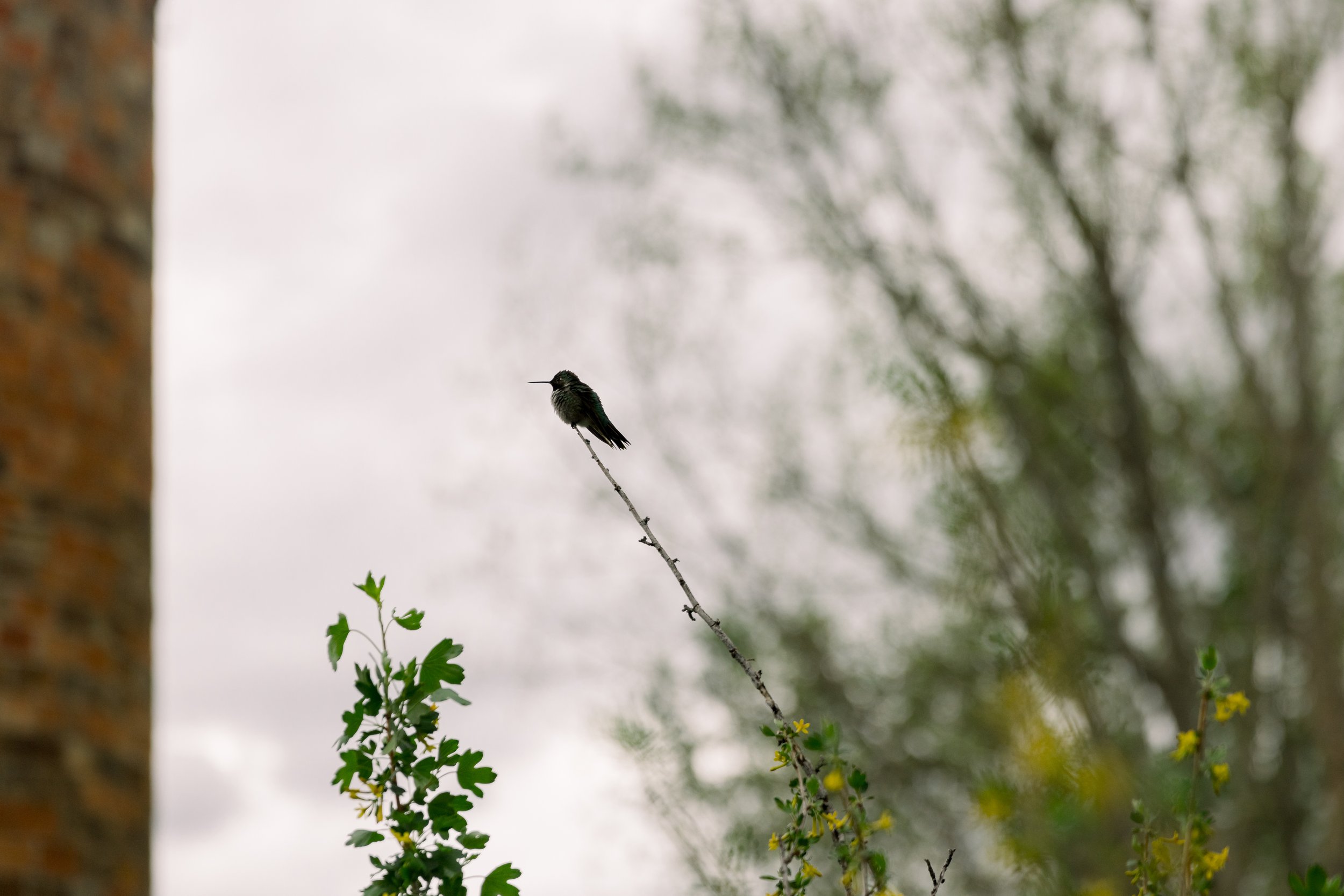 20230512-RichandJuliaWedding-737.jpg