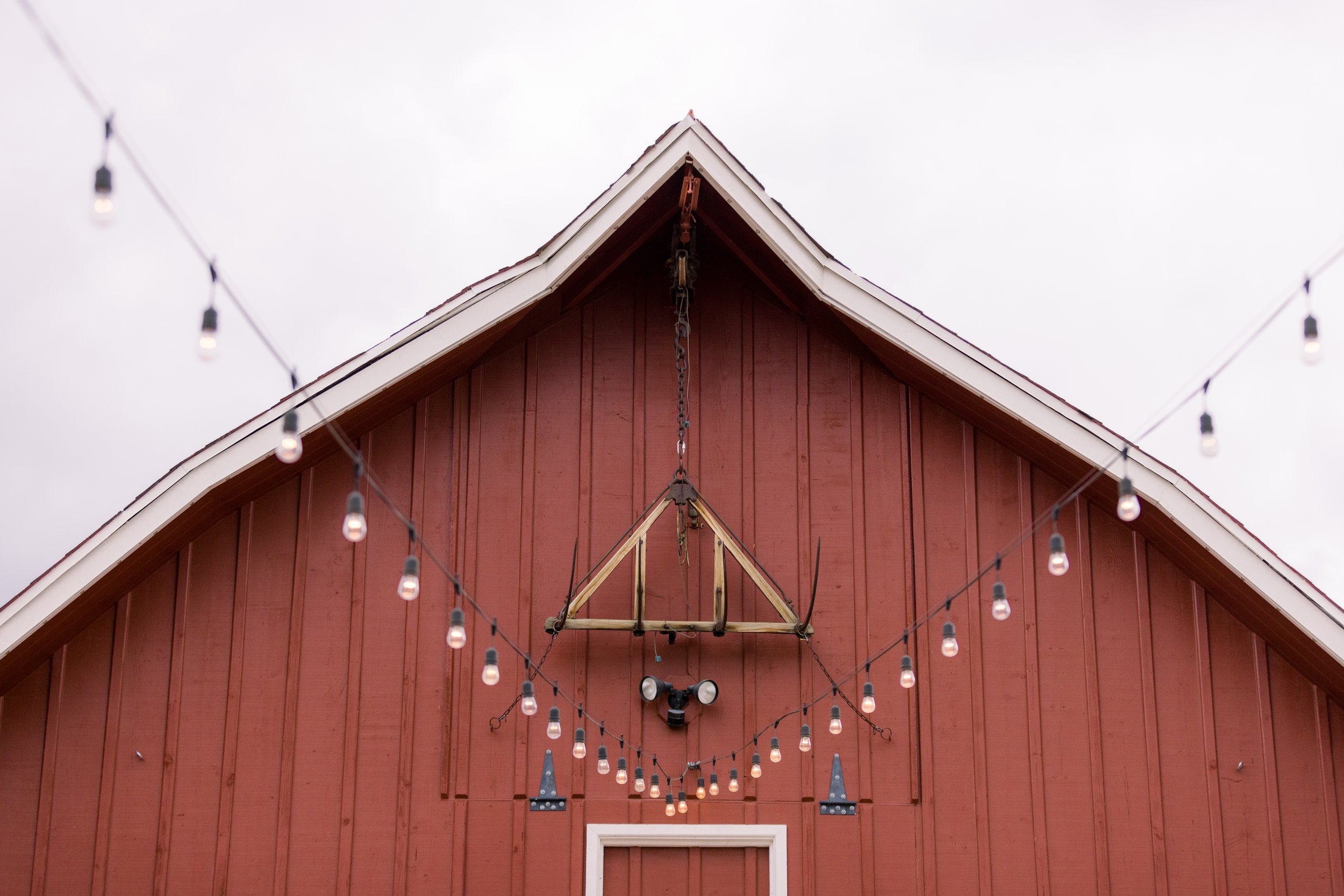 20230512-RichandJuliaWedding-450.jpg