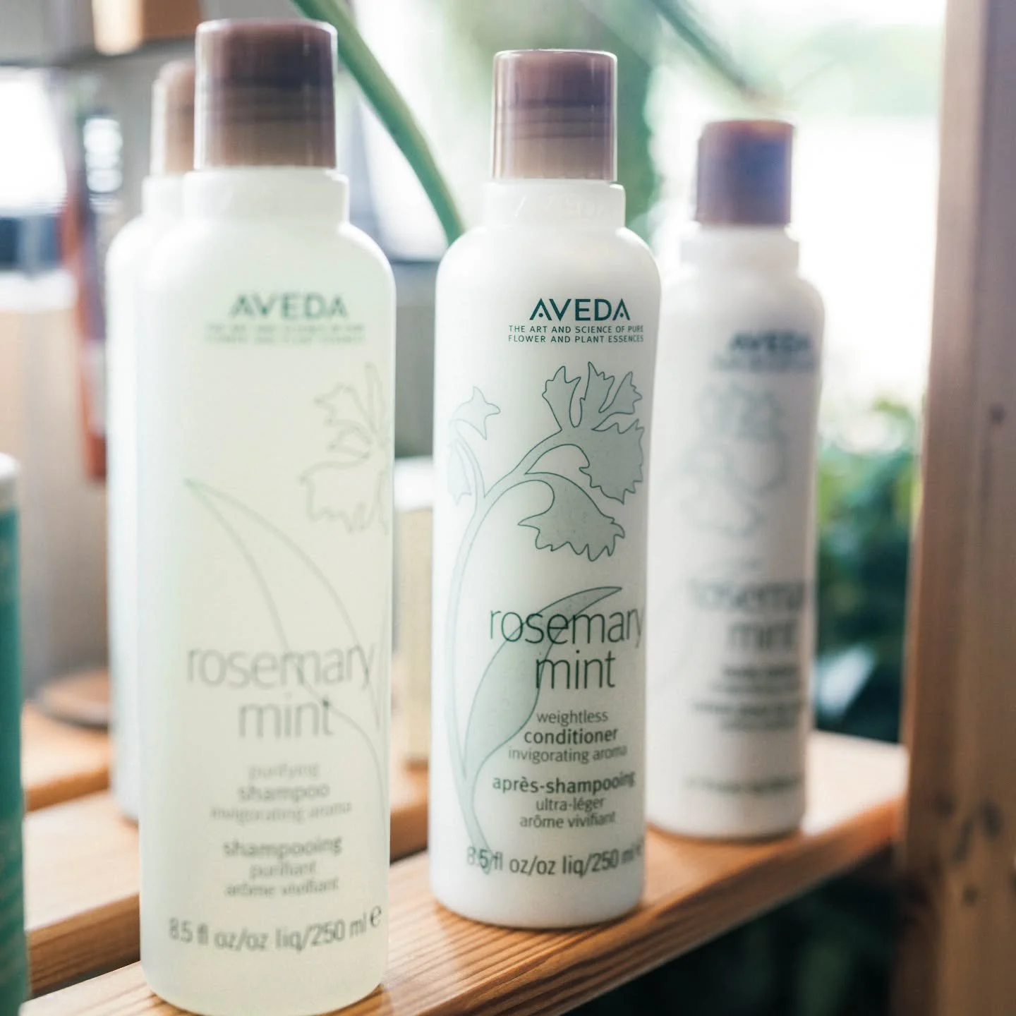 The fan favorite 💚 Aveda Rosemary Mint.
Purifying, refreshing, and the star of our shampoo bowl aroma ritual. If you know, you know&hellip; 👀✨

📍 Tupelo, MS | Alchemy Hair Studio

#AvedaRosemaryMint #AlchemyHairStudio #TupeloSalon #TupeloHair #Lux