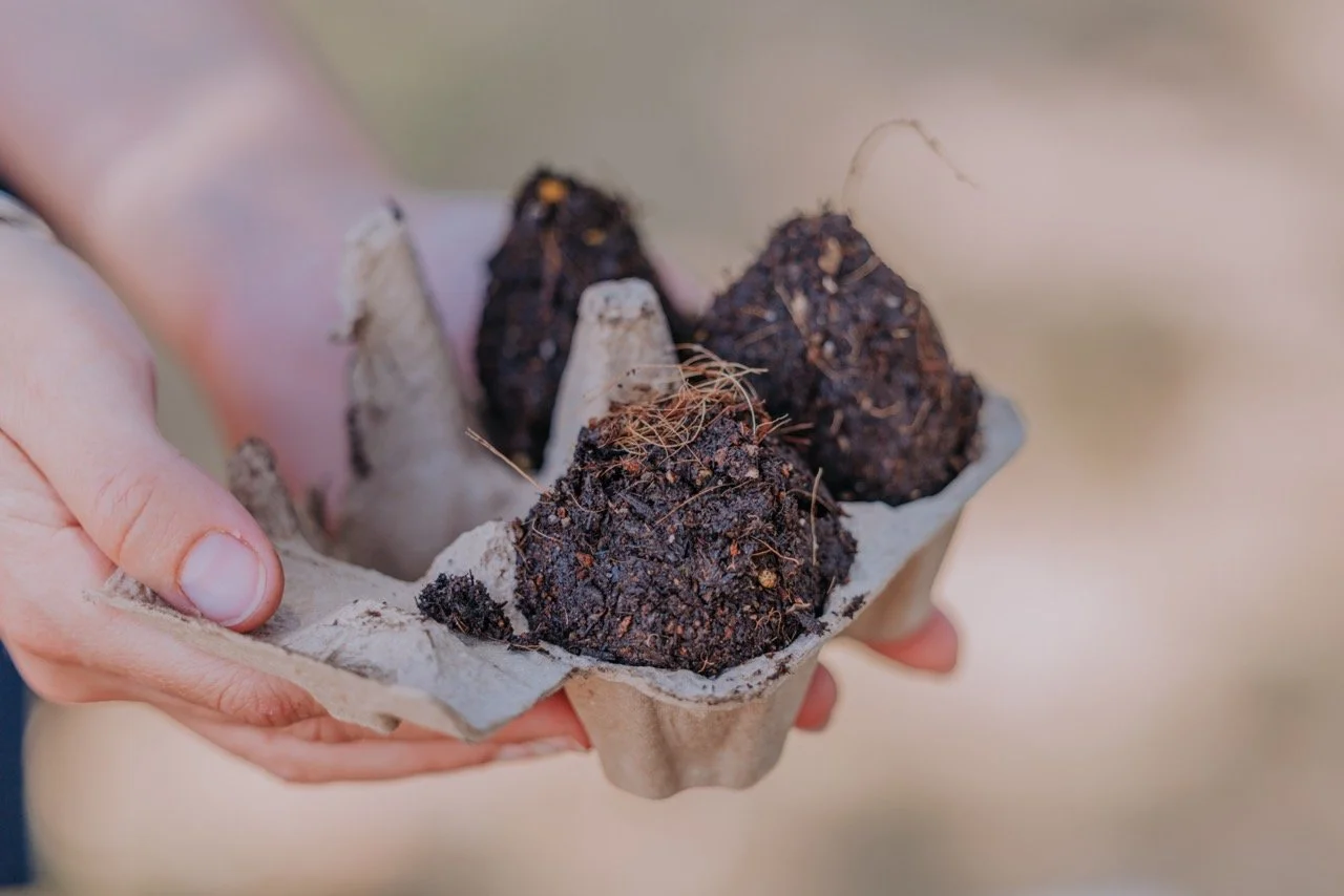 20251024_CRAFTING FOR CLIMATE-70 Large.jpeg