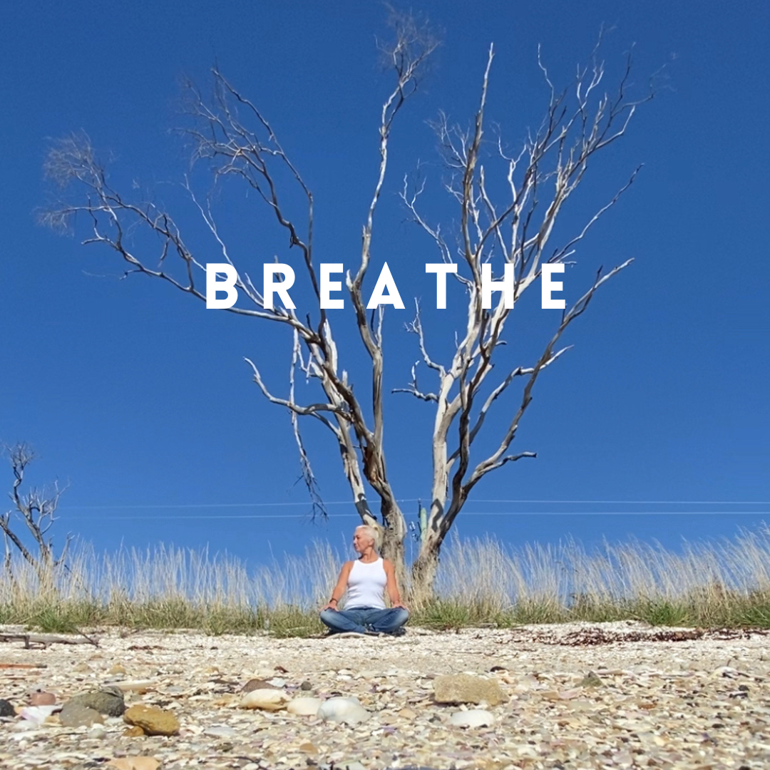 social media posts (19) 2 copy.PNG