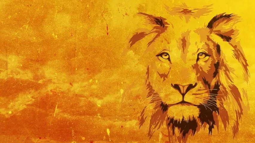 Website Lion Still Image.jpg