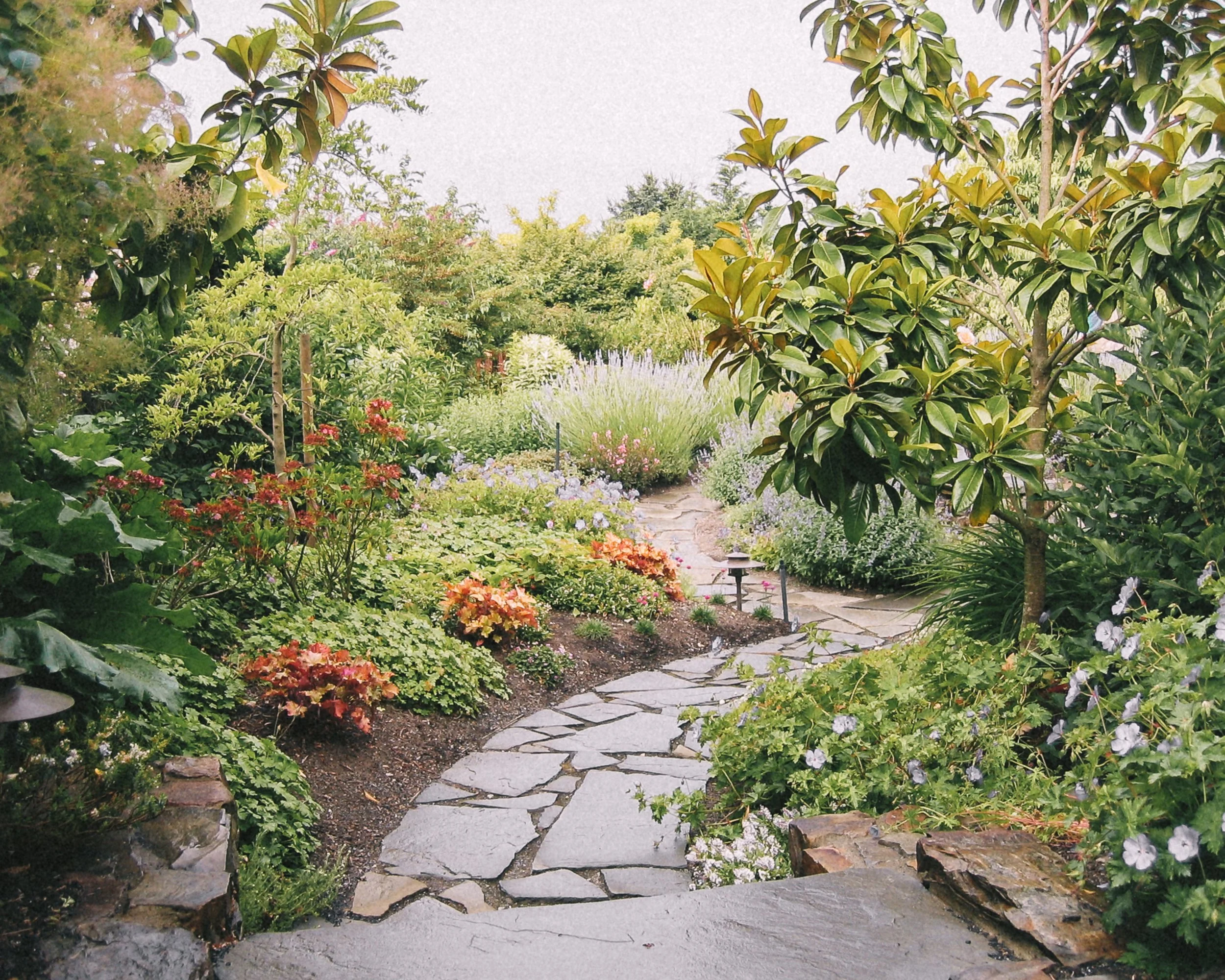 ROCK SOLID LANDSCAPES - Landscape design + Build + Maintenance