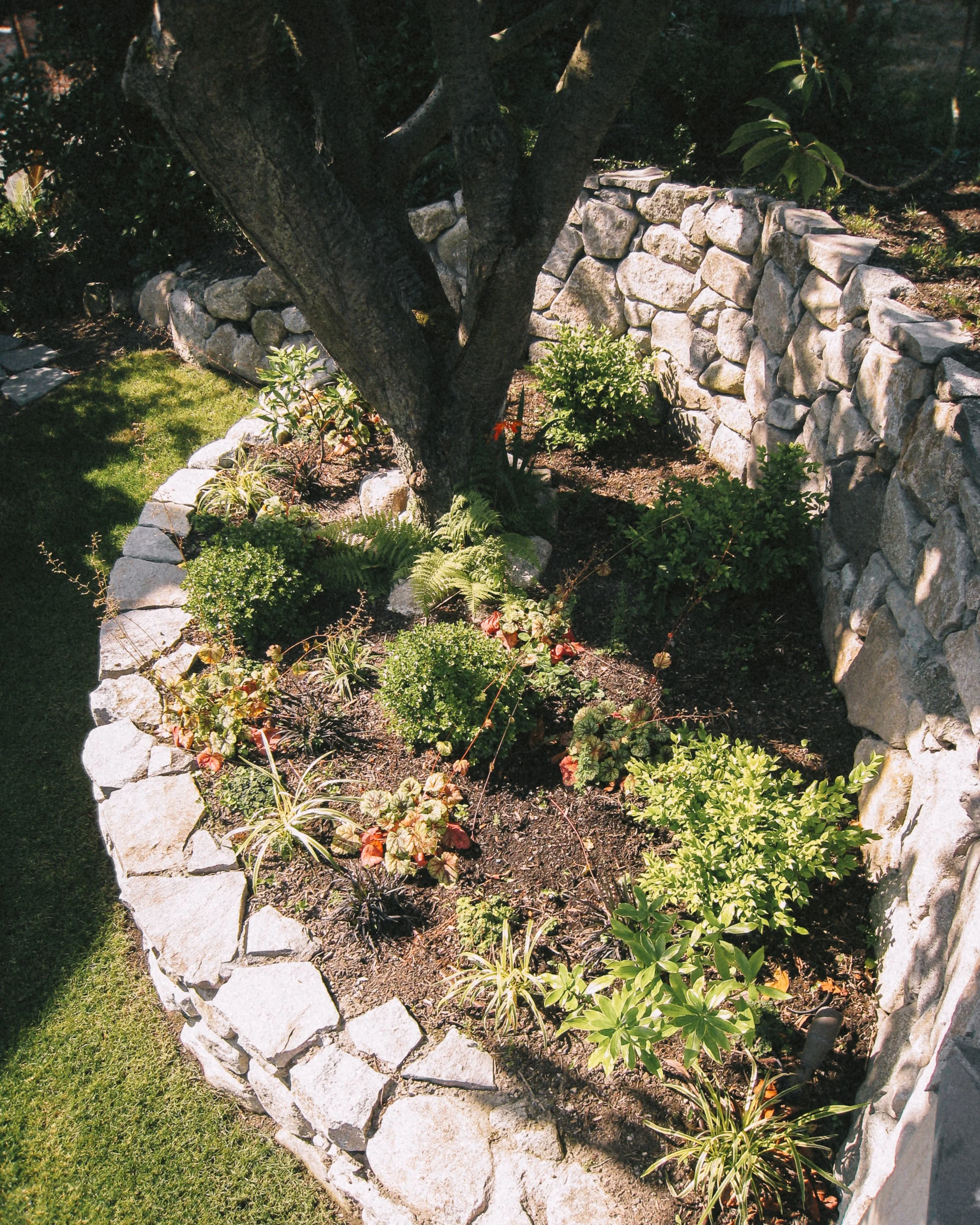 ROCK SOLID LANDSCAPES - Landscape design + Build + Maintenance