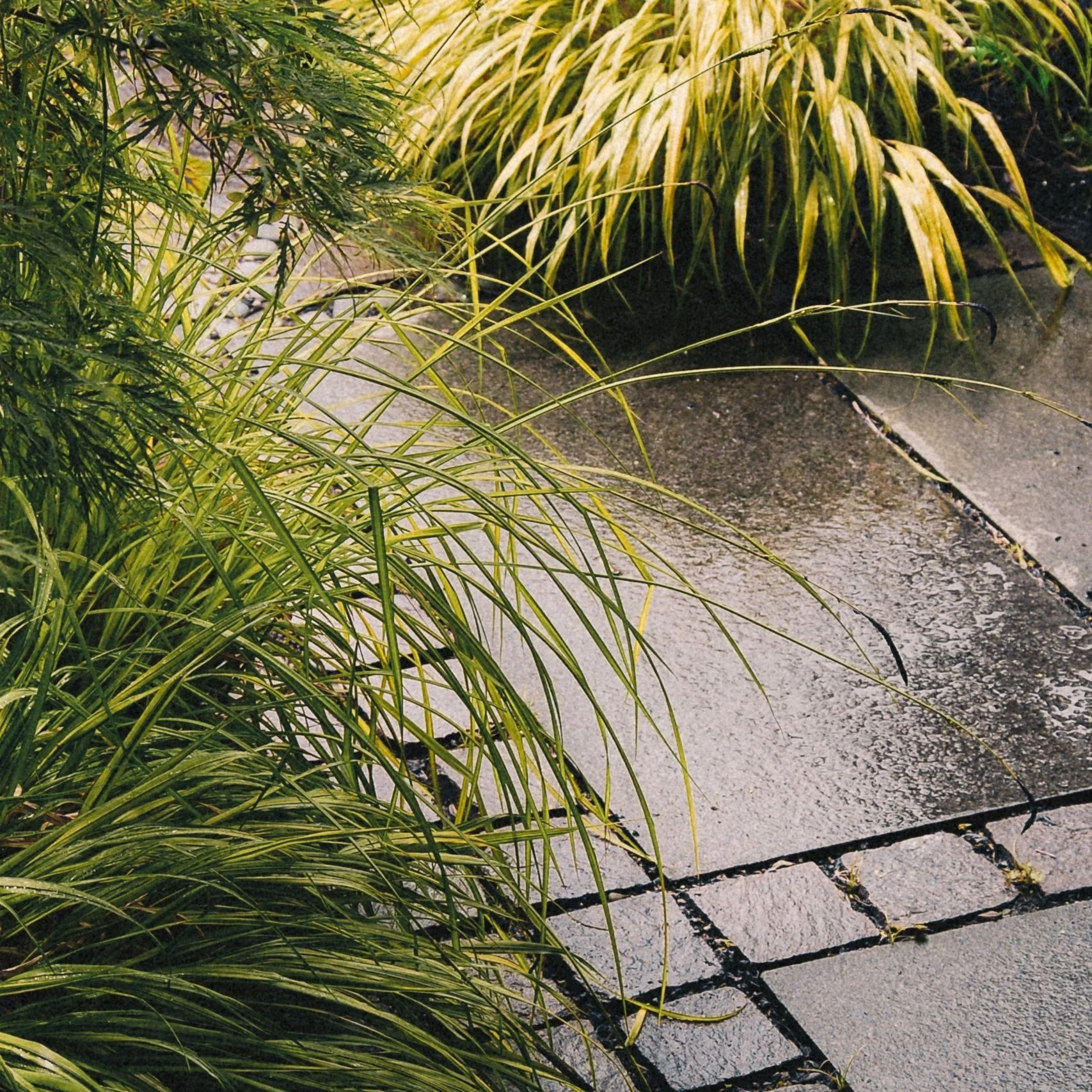 Rock Solid Landscapes