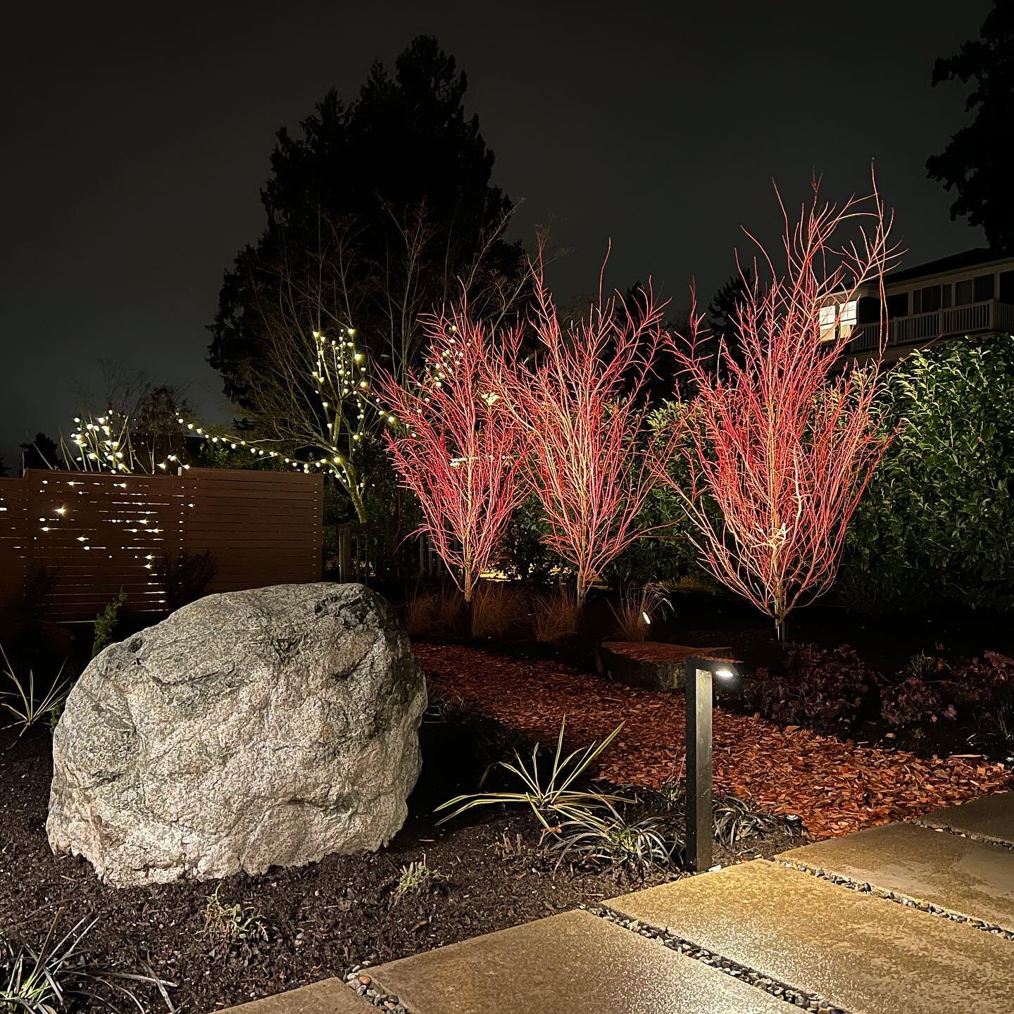 Fresh install ✨🚨

#garden #gardendesign #landscaping #landscapedesign #landscapedesigner #landscapeconstruction #seattle #frontyard #grasses #boulders #rocks #japanesemaple #acerpalmatum #castinplaceconcrete #castohn #castohnpavers #landscapelightin