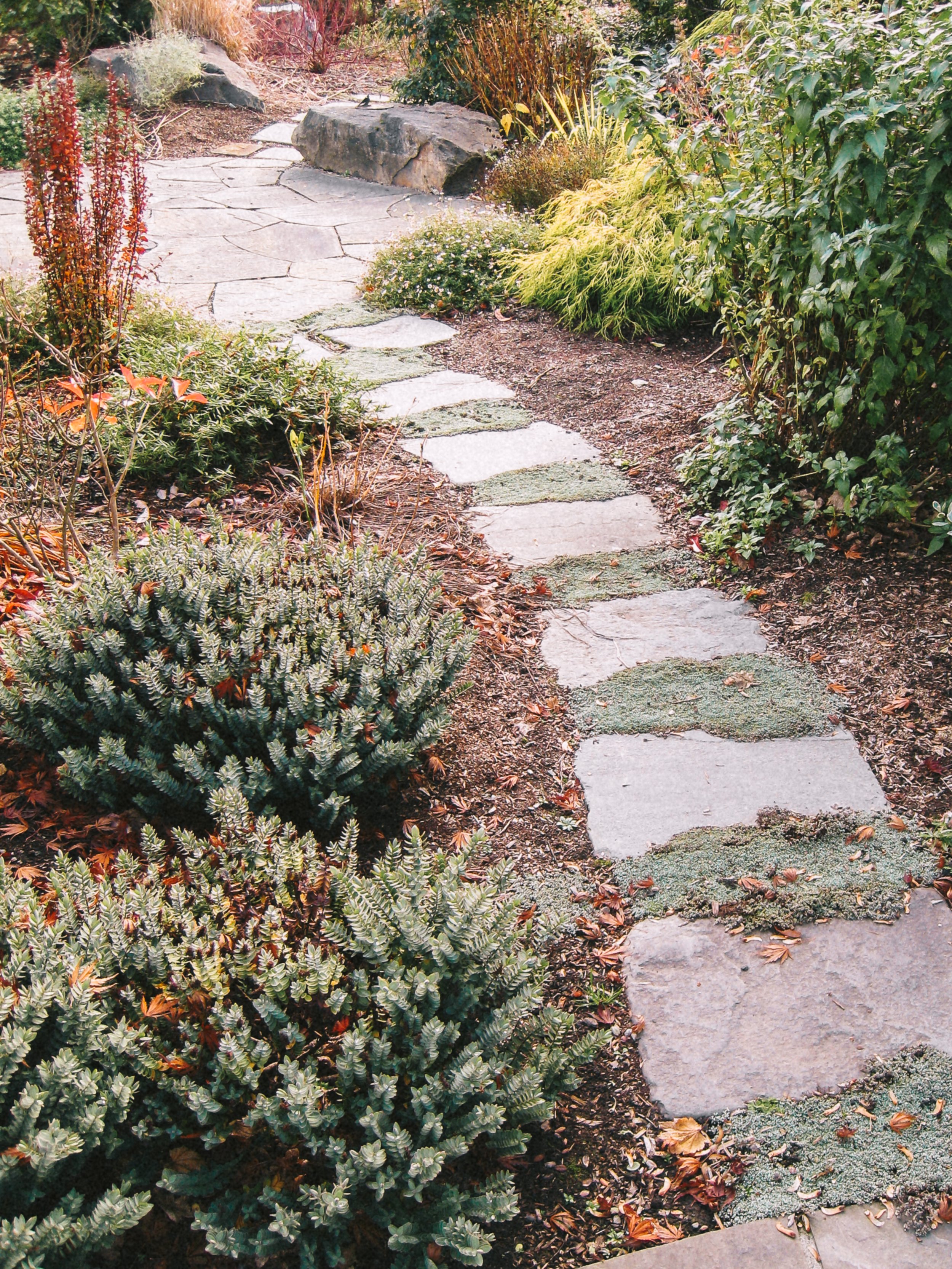 ROCK SOLID LANDSCAPES - Landscape design + Build + Maintenance