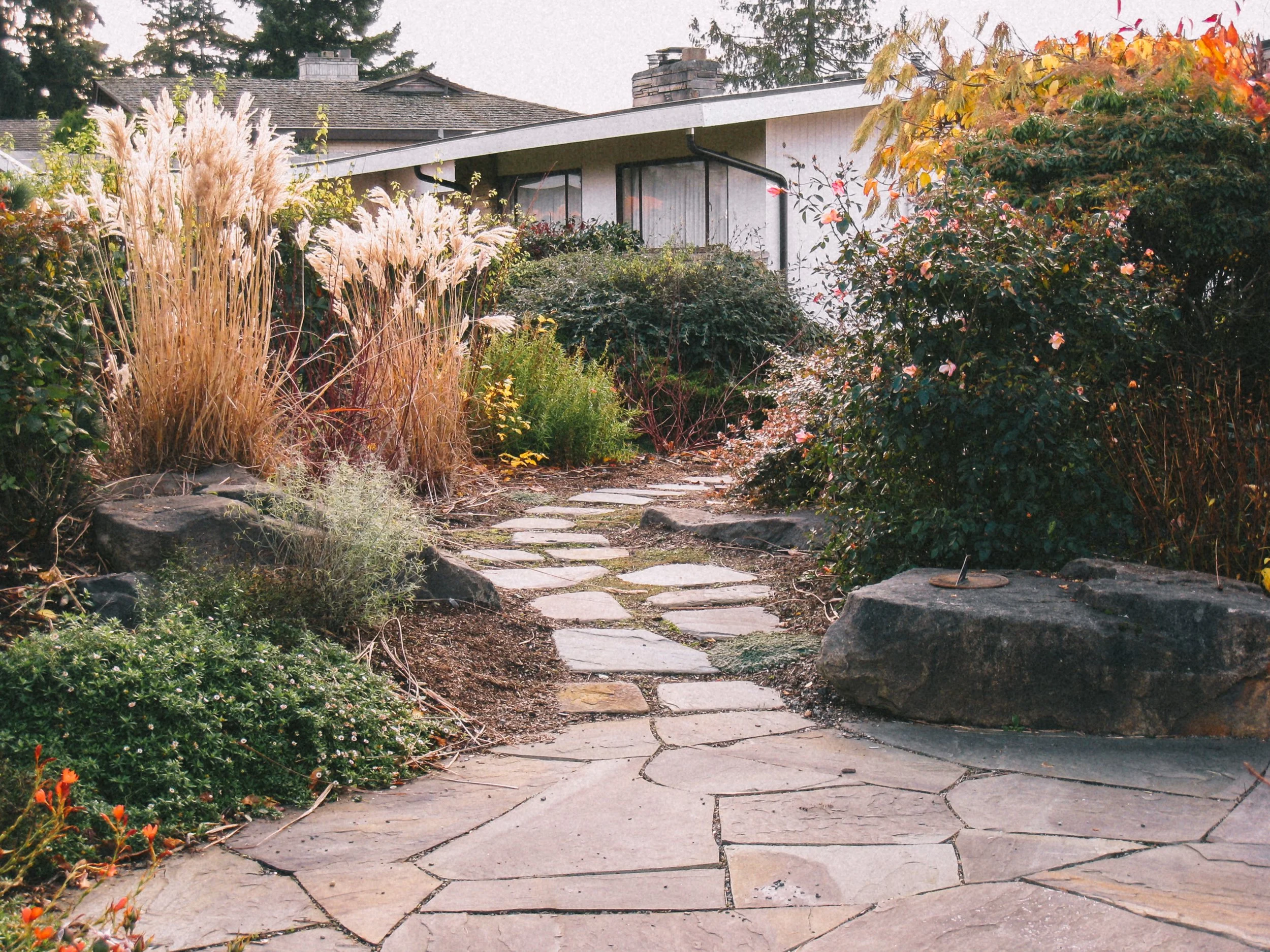 ROCK SOLID LANDSCAPES - Landscape design + Build + Maintenance