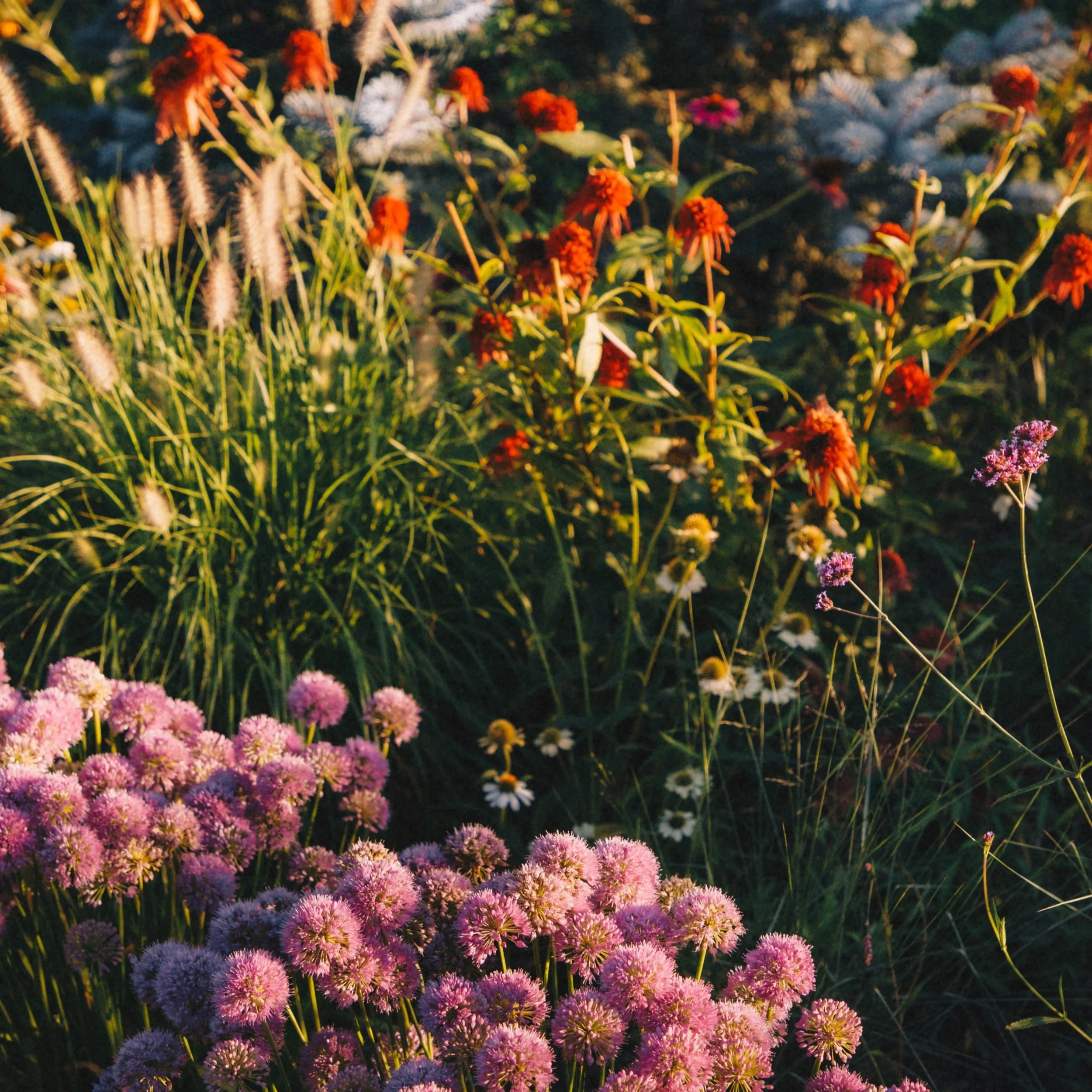 Rock Solid Landscapes