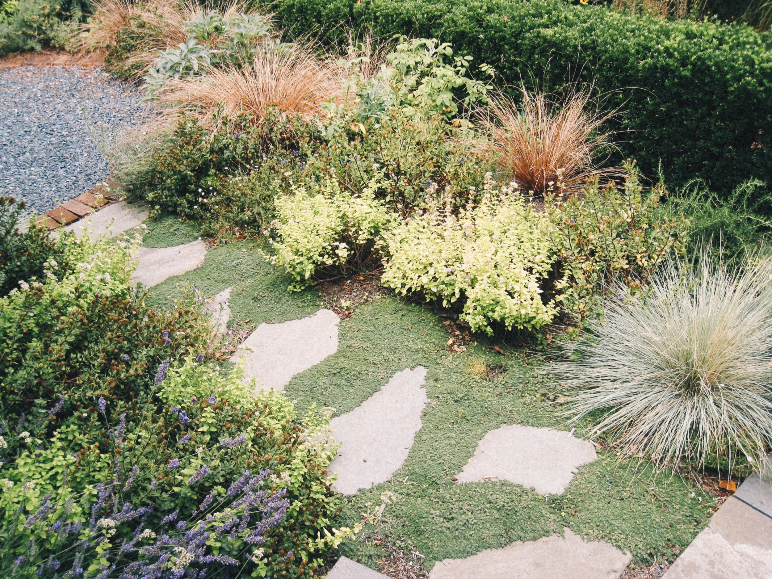 ROCK SOLID LANDSCAPES - Landscape design + Build + Maintenance