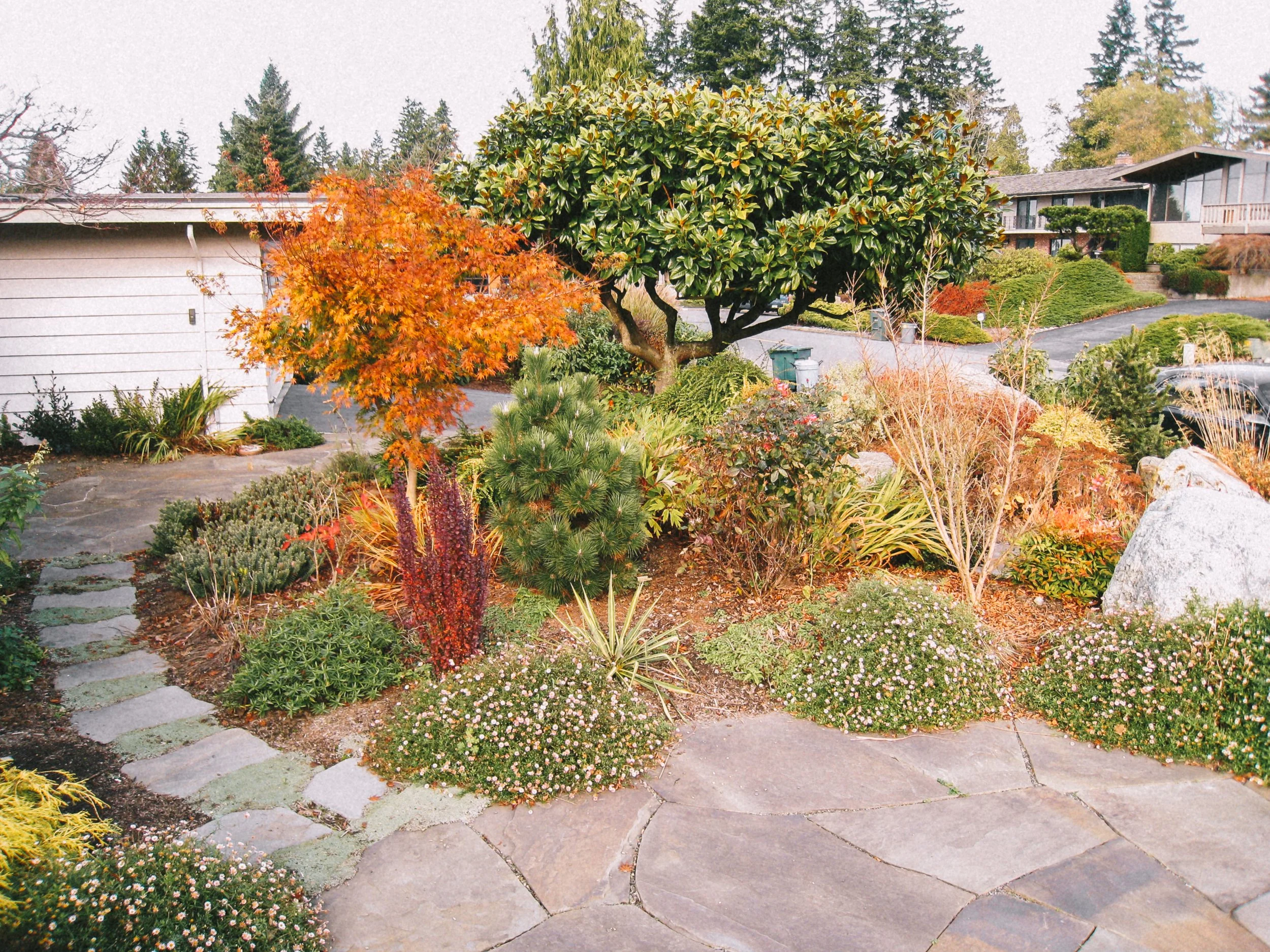 ROCK SOLID LANDSCAPES - Landscape design + Build + Maintenance