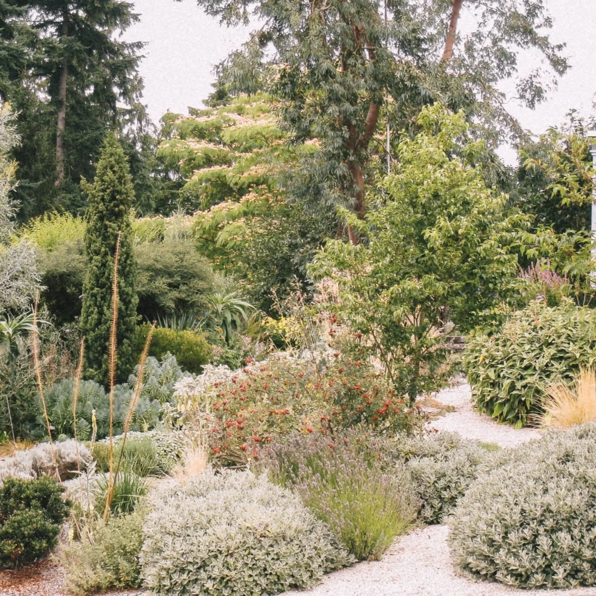 Rock Solid Landscapes