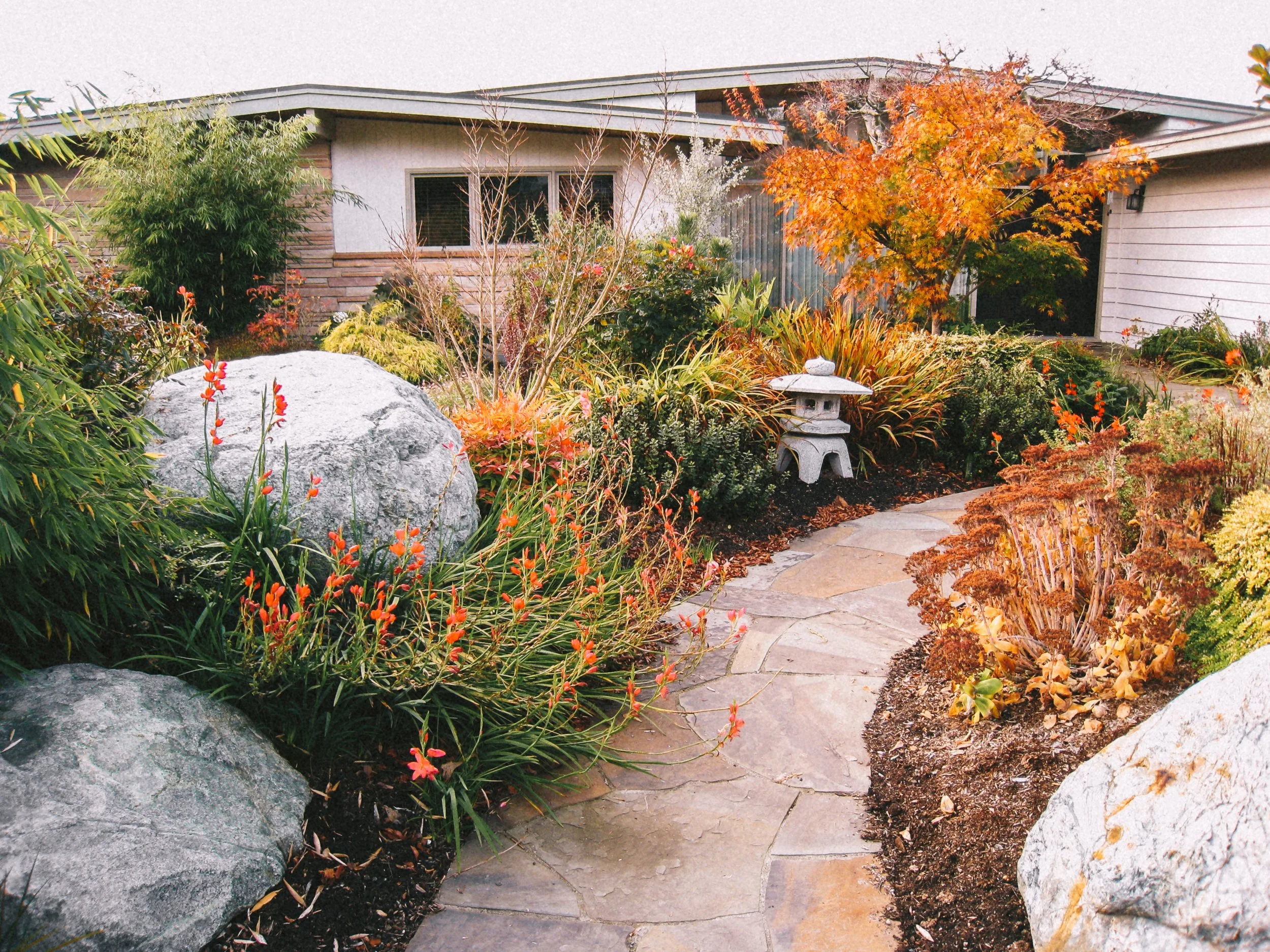 ROCK SOLID LANDSCAPES - Landscape design + Build + Maintenance