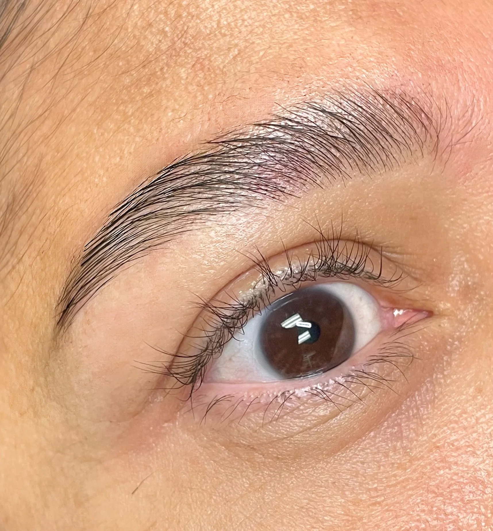 eye brow lamination, wax and tint