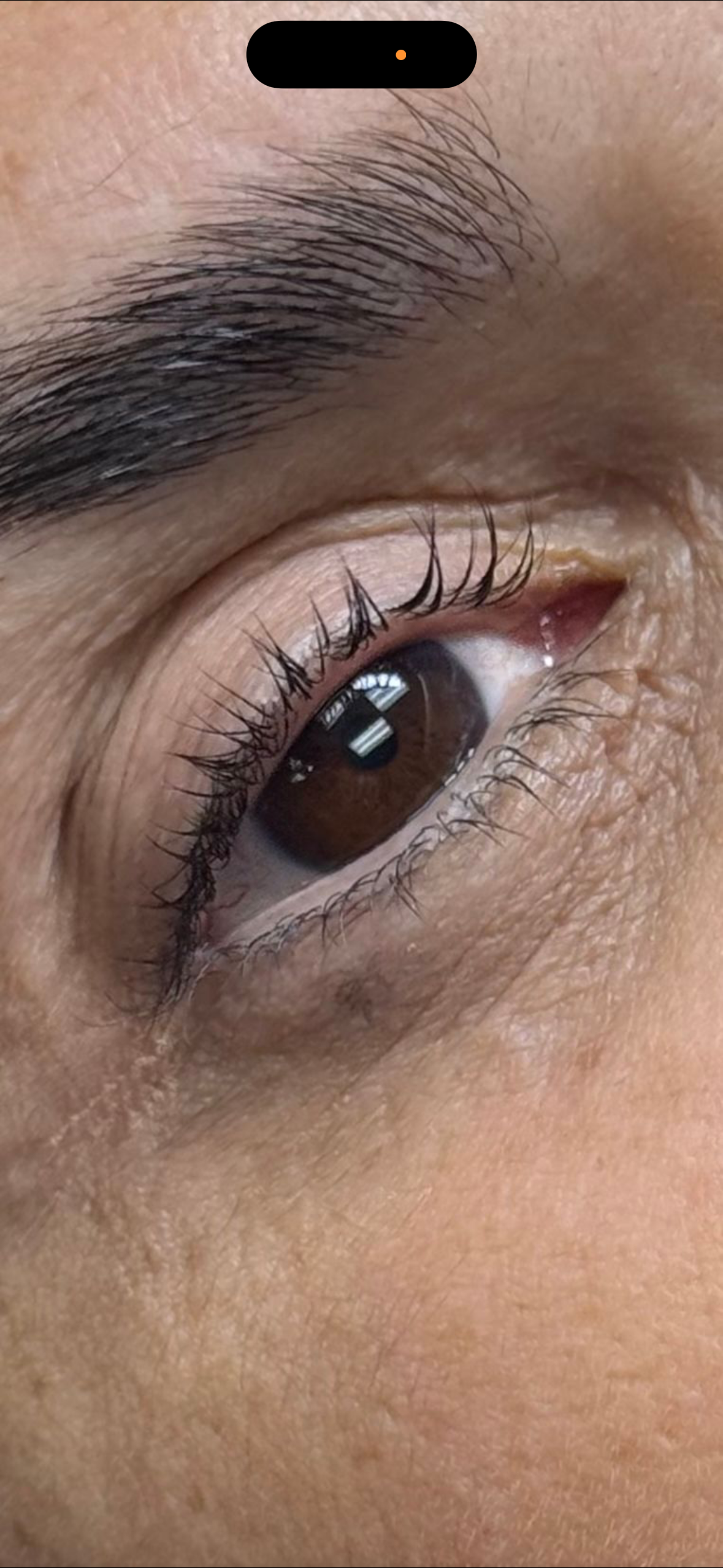 lash lift