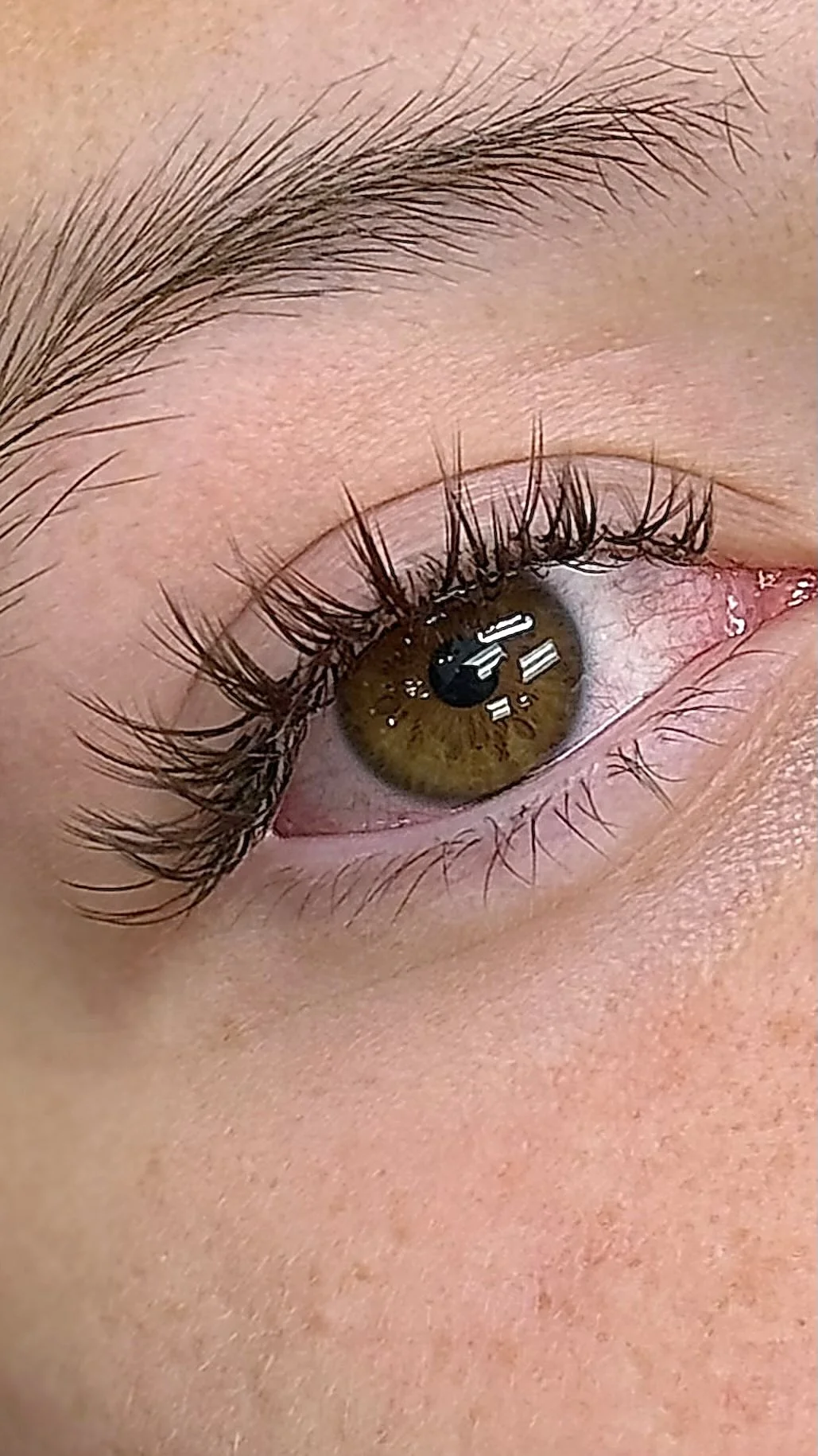 dark brown wet set lashes
