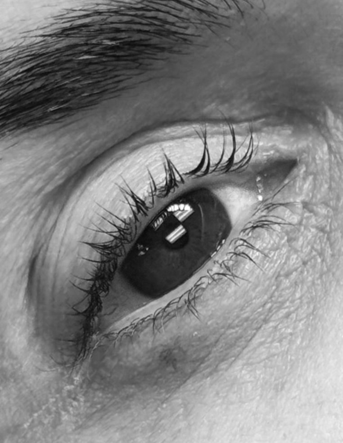 lash lift and tint