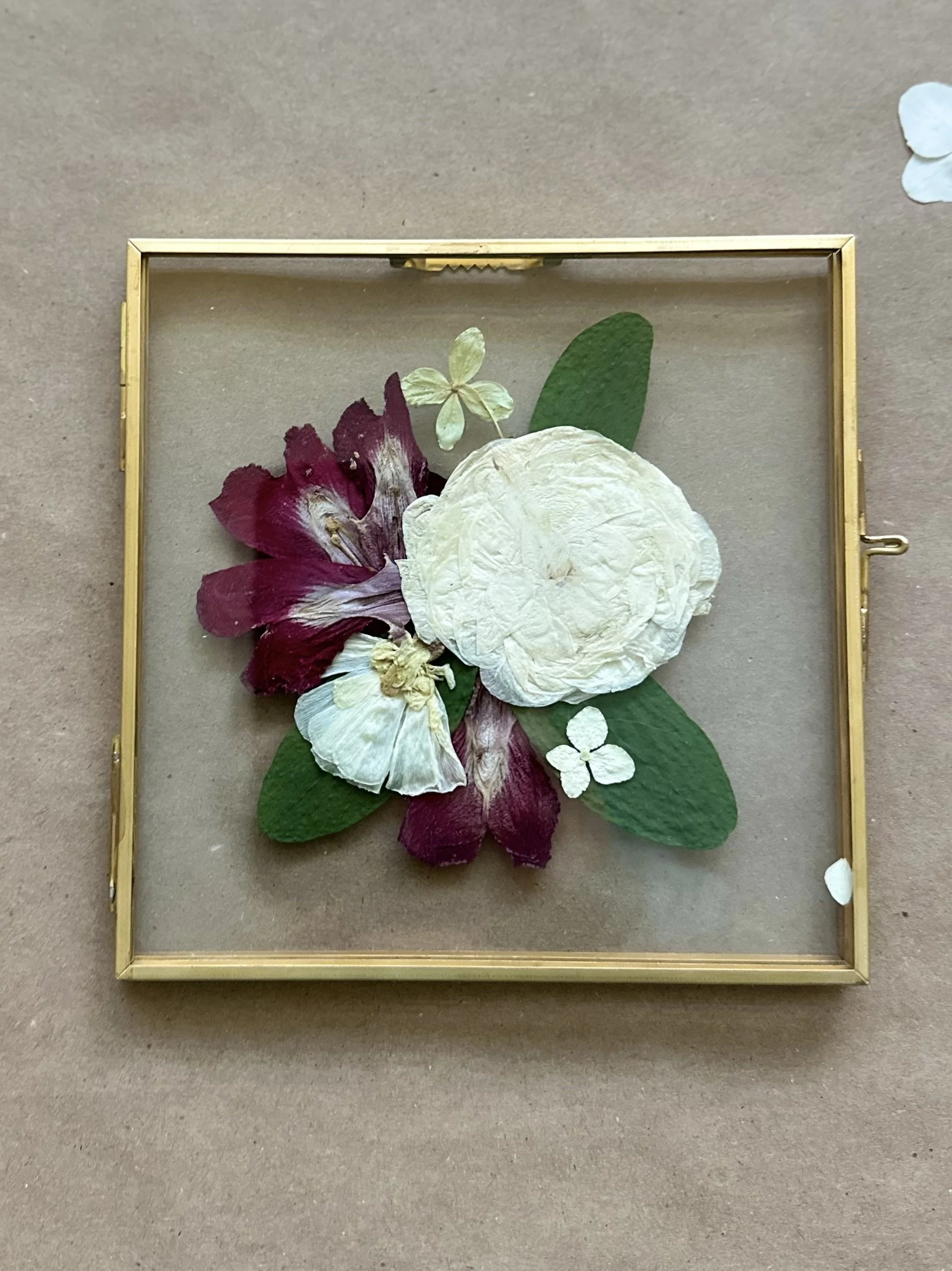 Pressed Flower Art Workshop x Beguiled Books