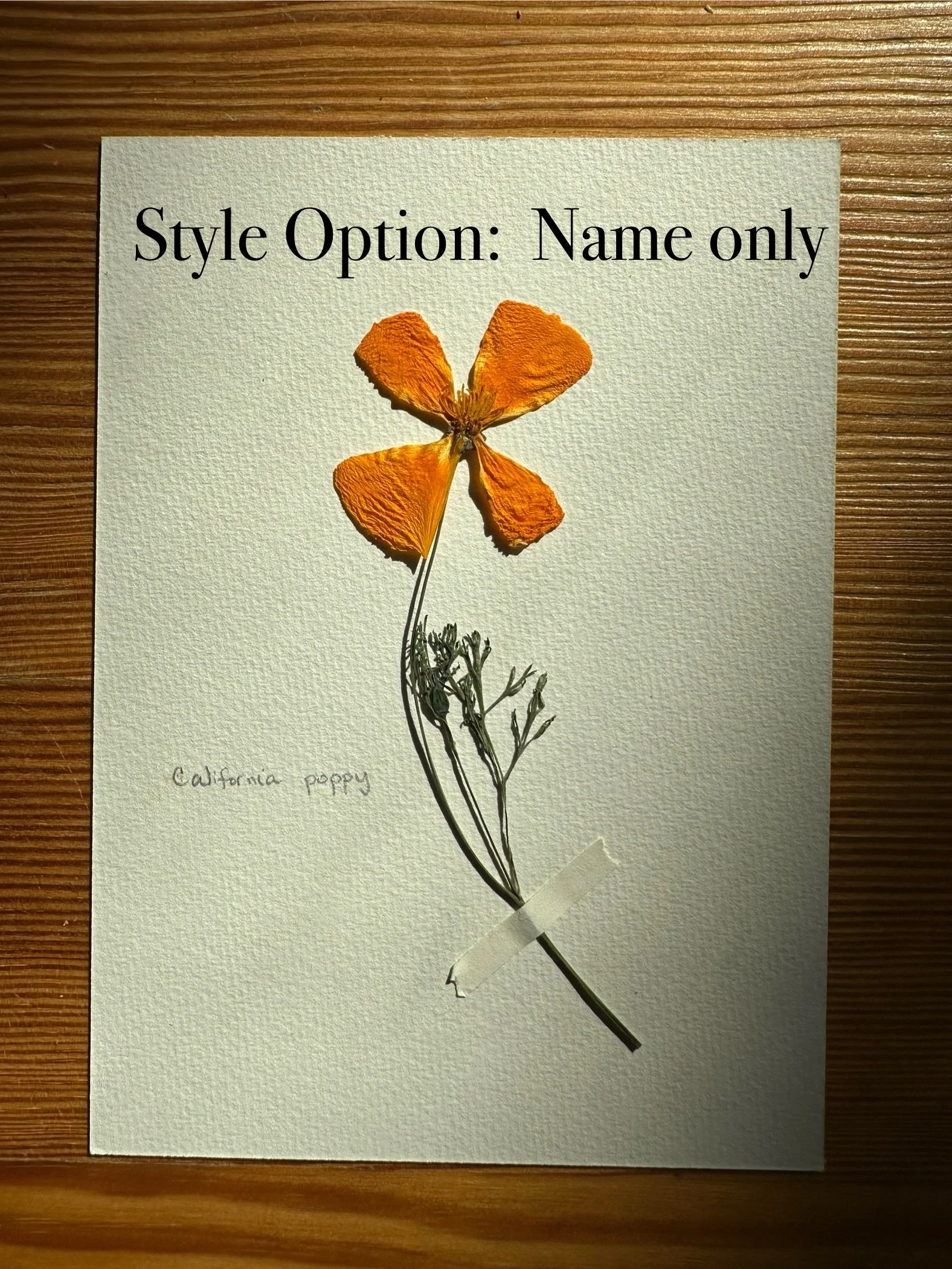Name Only style.jpg