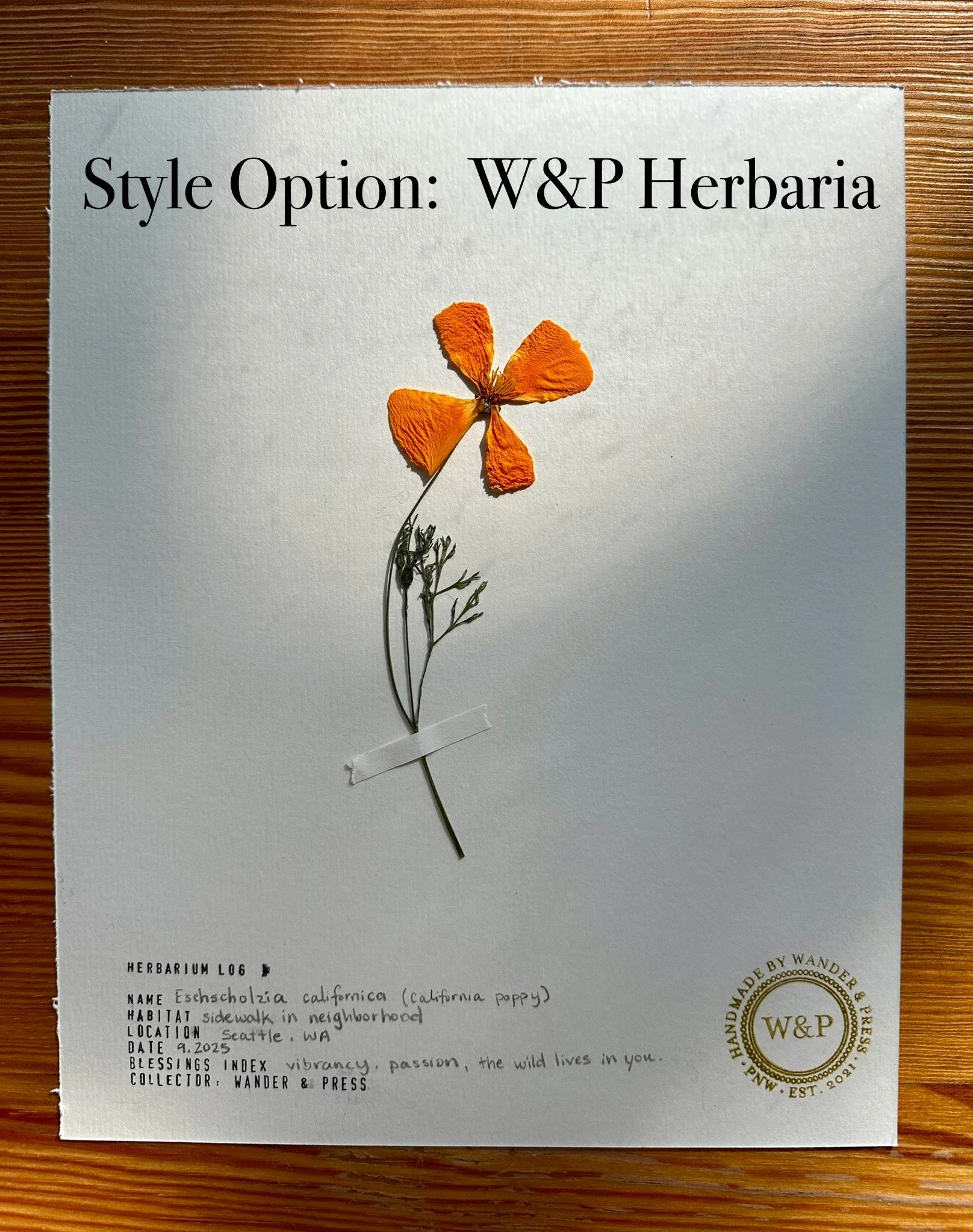 W&P Herbaria style.jpg