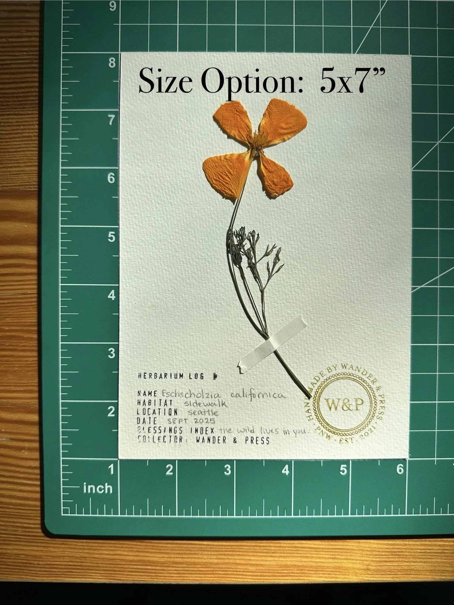 5x7 size.jpg