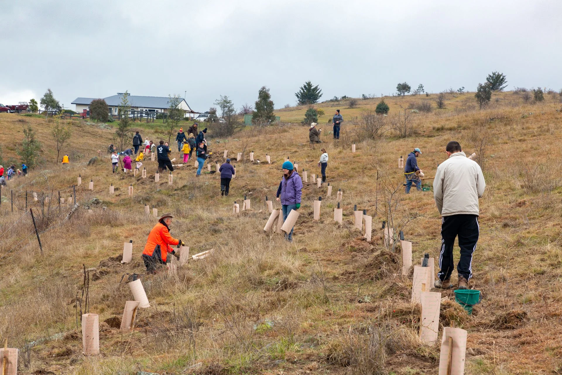20210801 Queanbeyan Landcare - tree planting-33.jpg