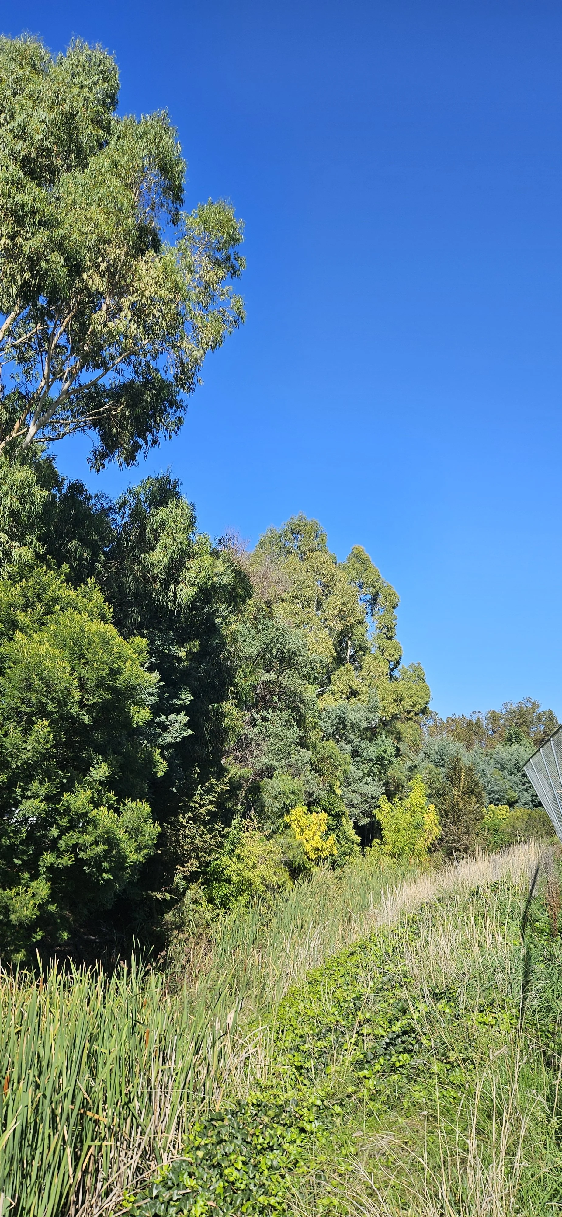 photo taken off Ford Road.jpg