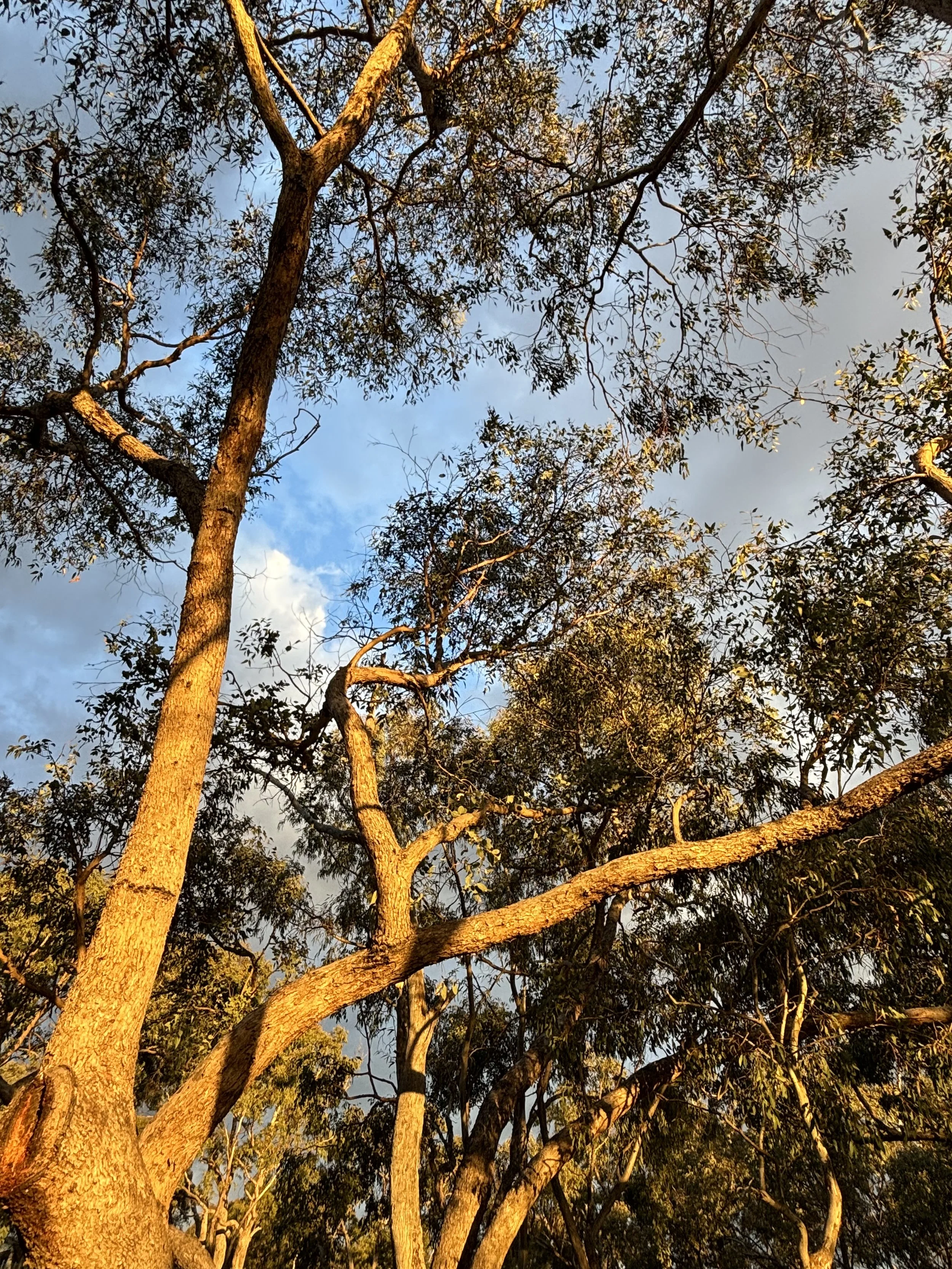 QUEANBEYAN EASTBANK WORKING GROUP