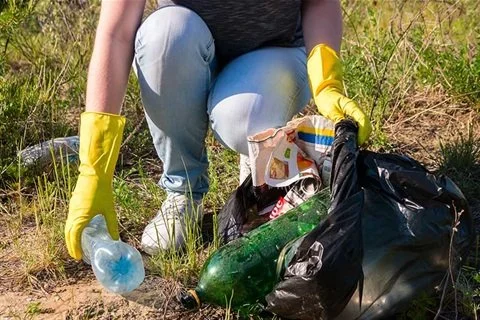 THE GREAT SPRING CLEAN UP