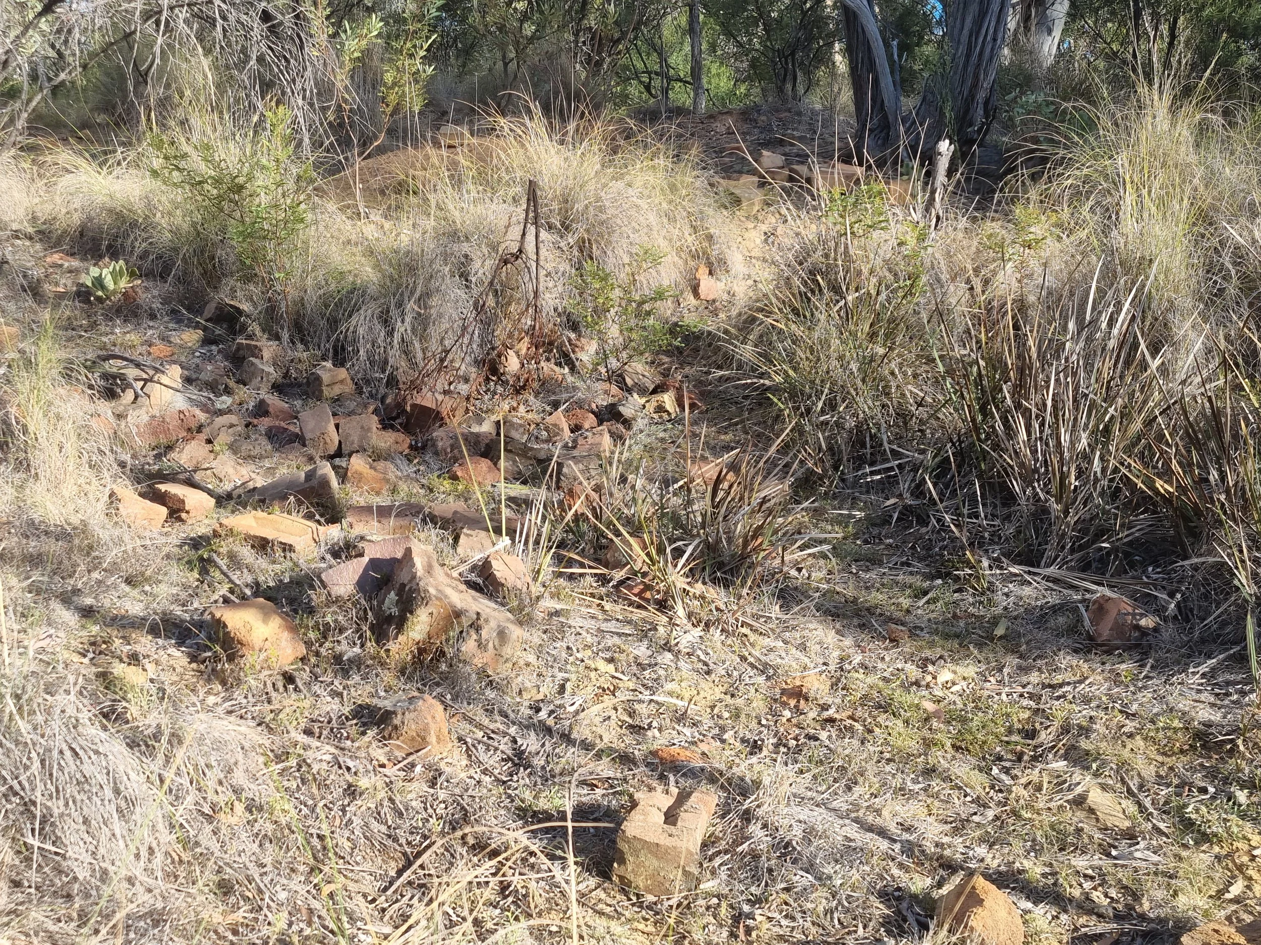 20250306_180539 (1).jpg