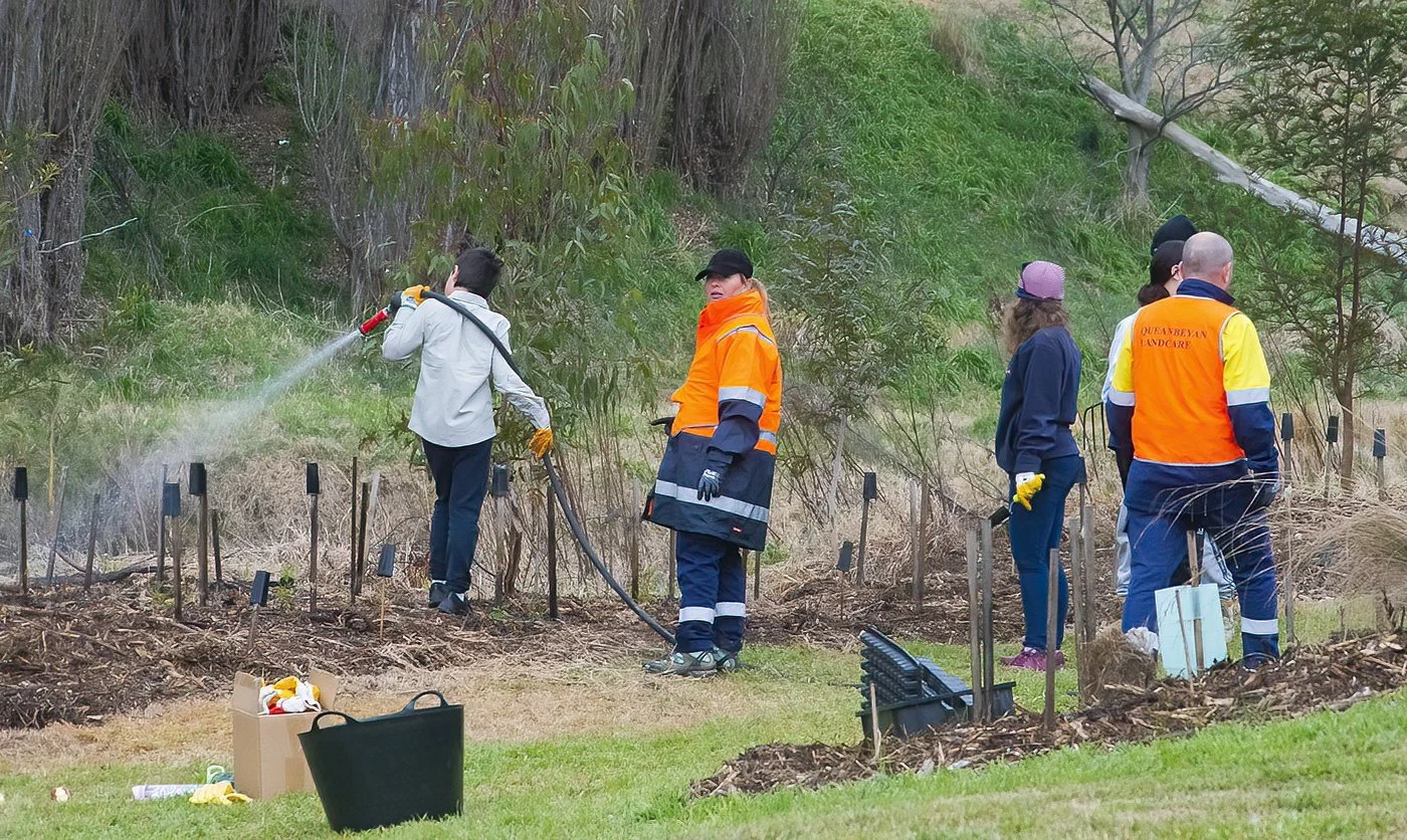 Shaun, Pieta watering.jpg