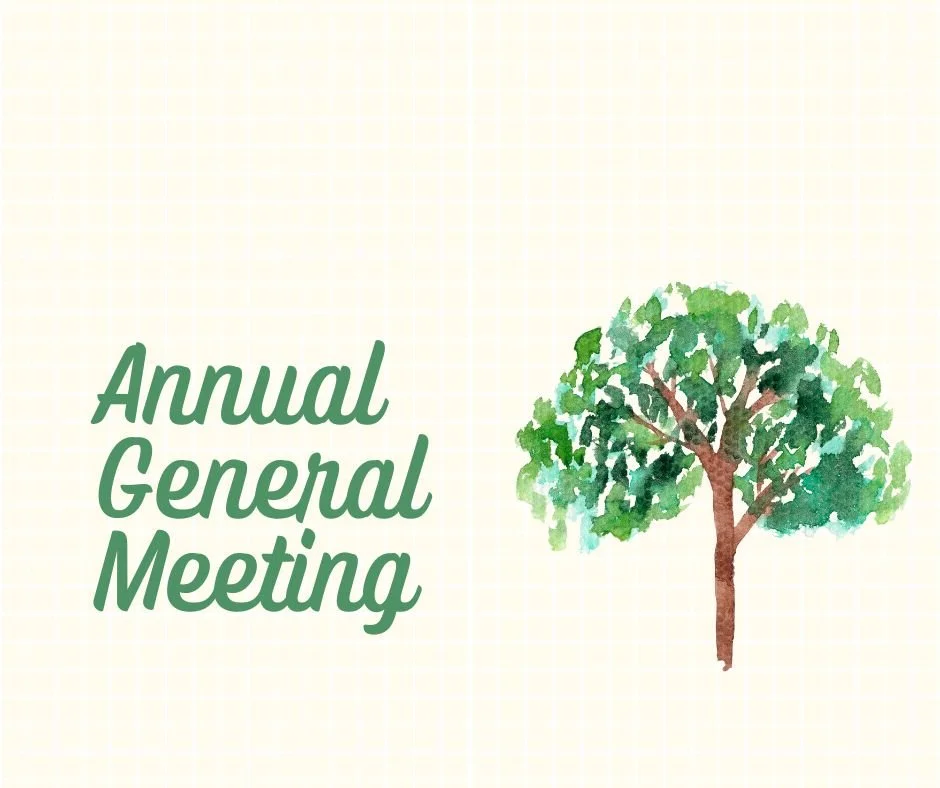 OUR ANNUAL GENERAL MEETING