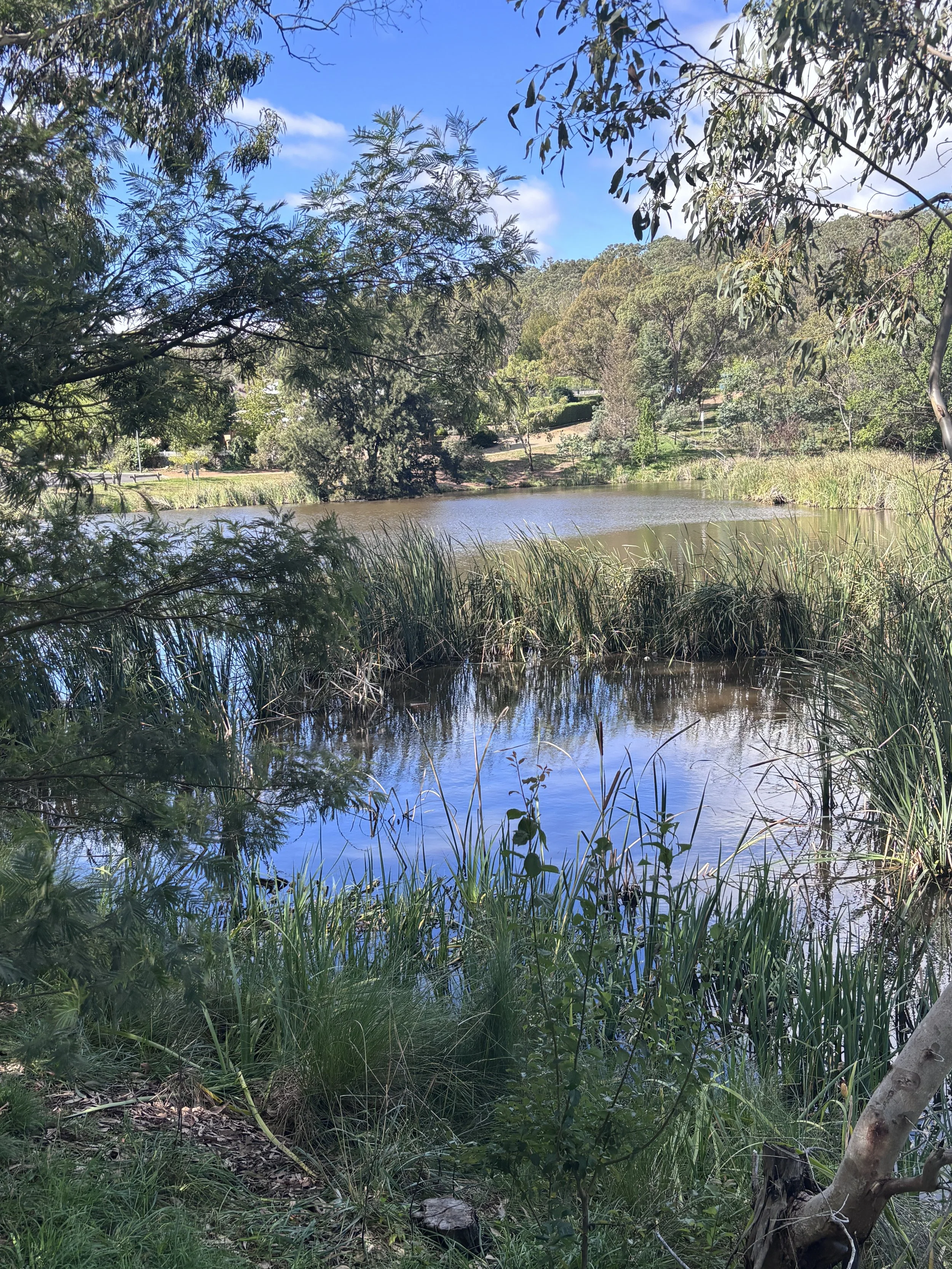 BRUDENELL POND GULLY WORKING GROUP