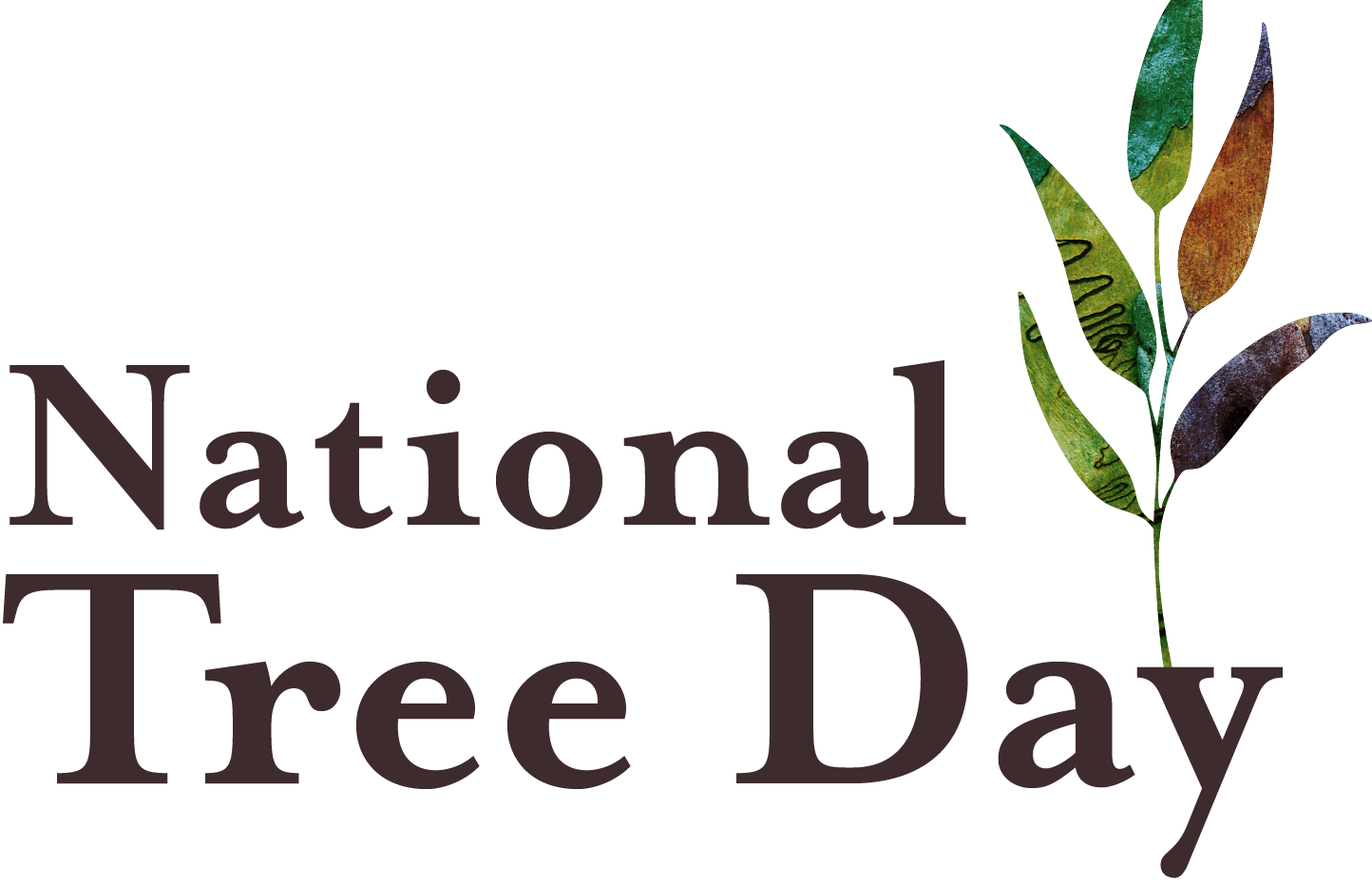 NATIONAL TREE DAY 