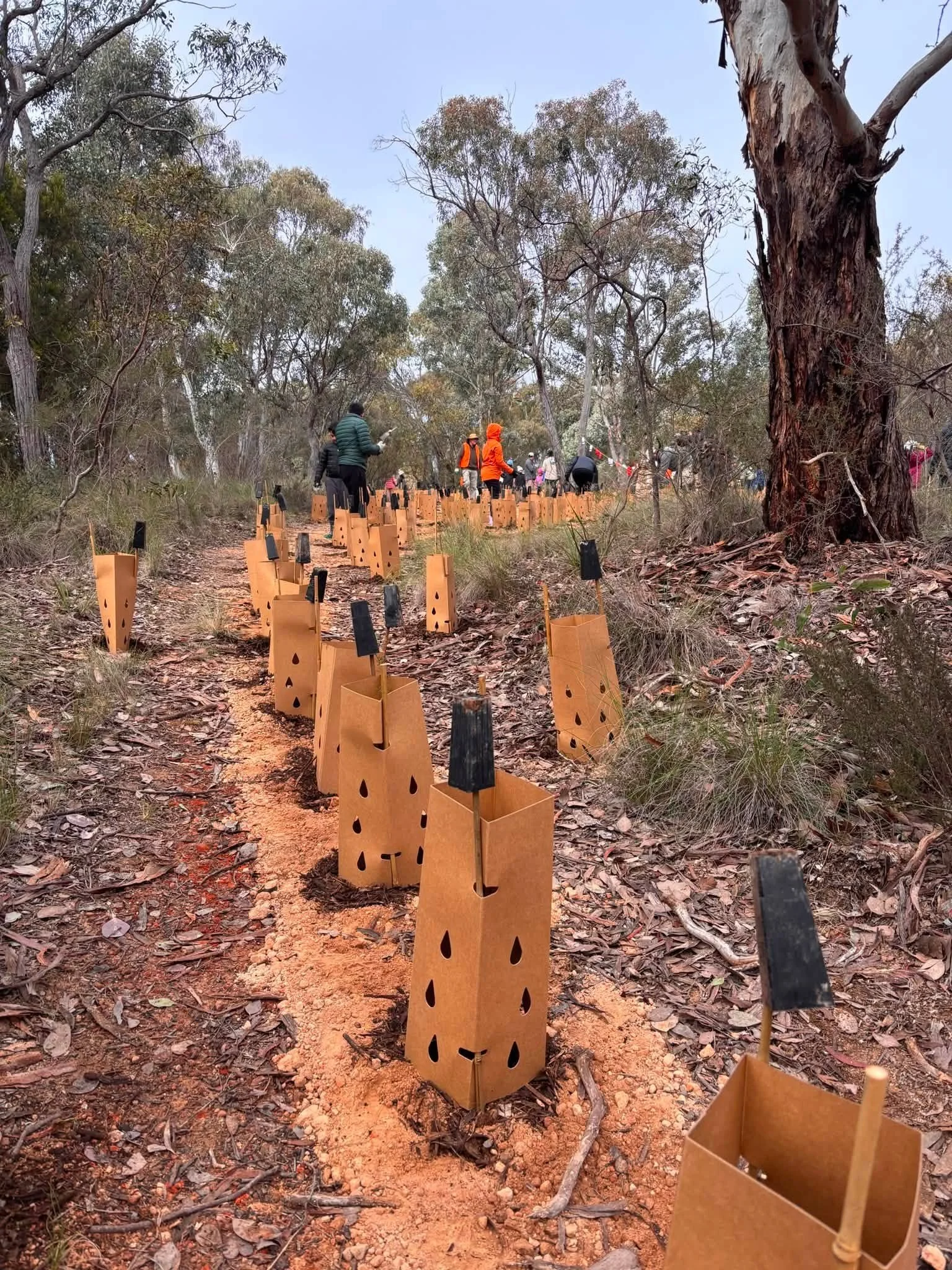 757066516_1343771431252505_3774264571599695472_n fc.jpg